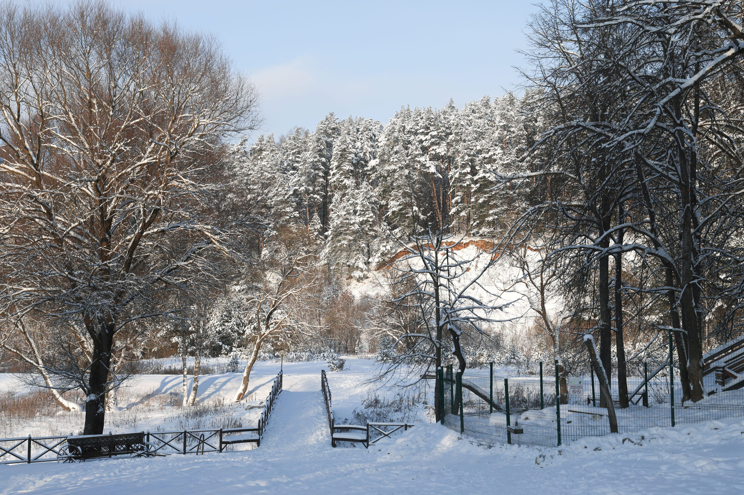 Рождествено Зима 2026. Фотограф Максим Татаринов