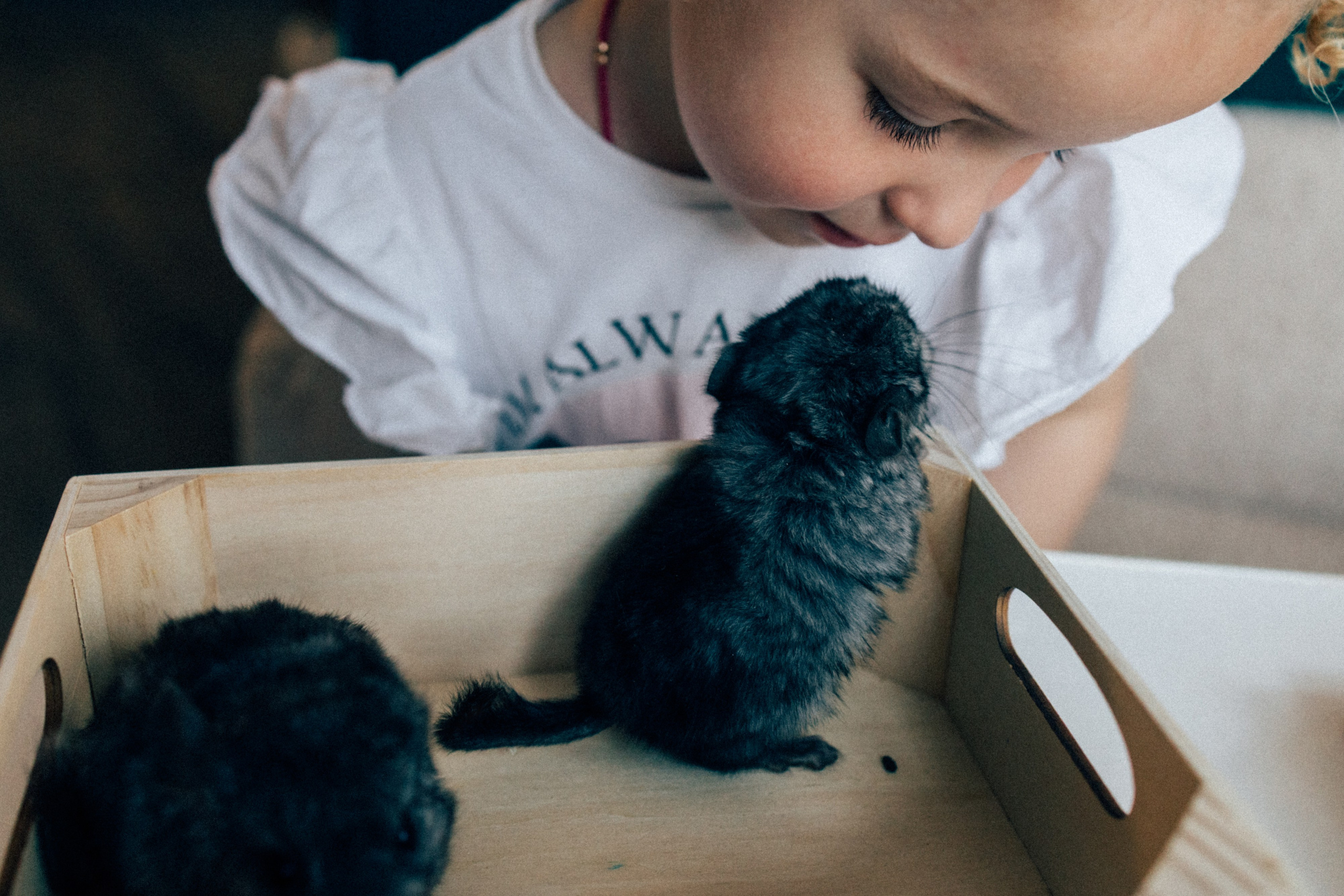 Lifstyle Фролкины. Семейный, женский и детский фотограф Татьяна Колобаева