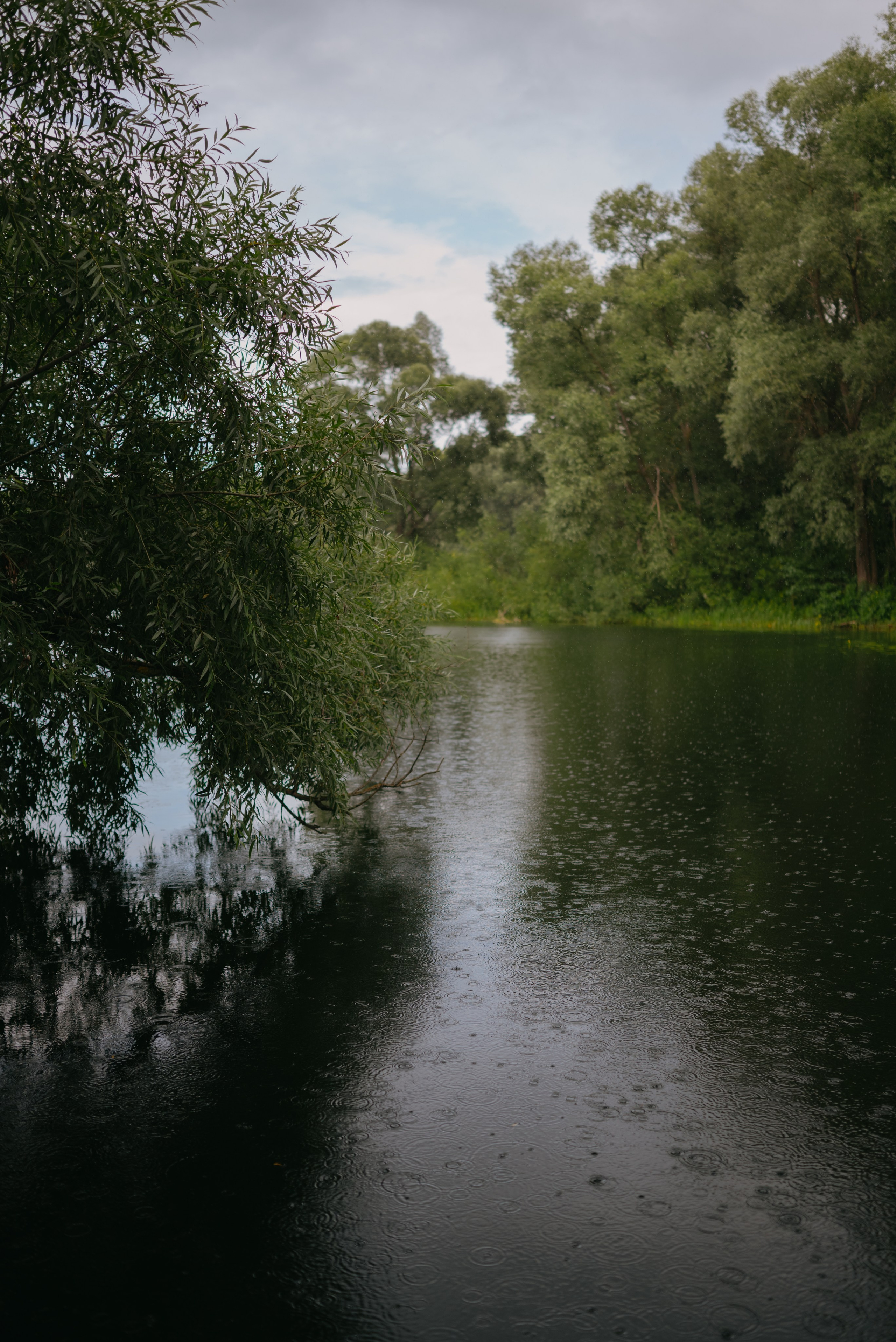 Игорь и Вероника. Свадебный фотограф Уфа Дарья Насырова