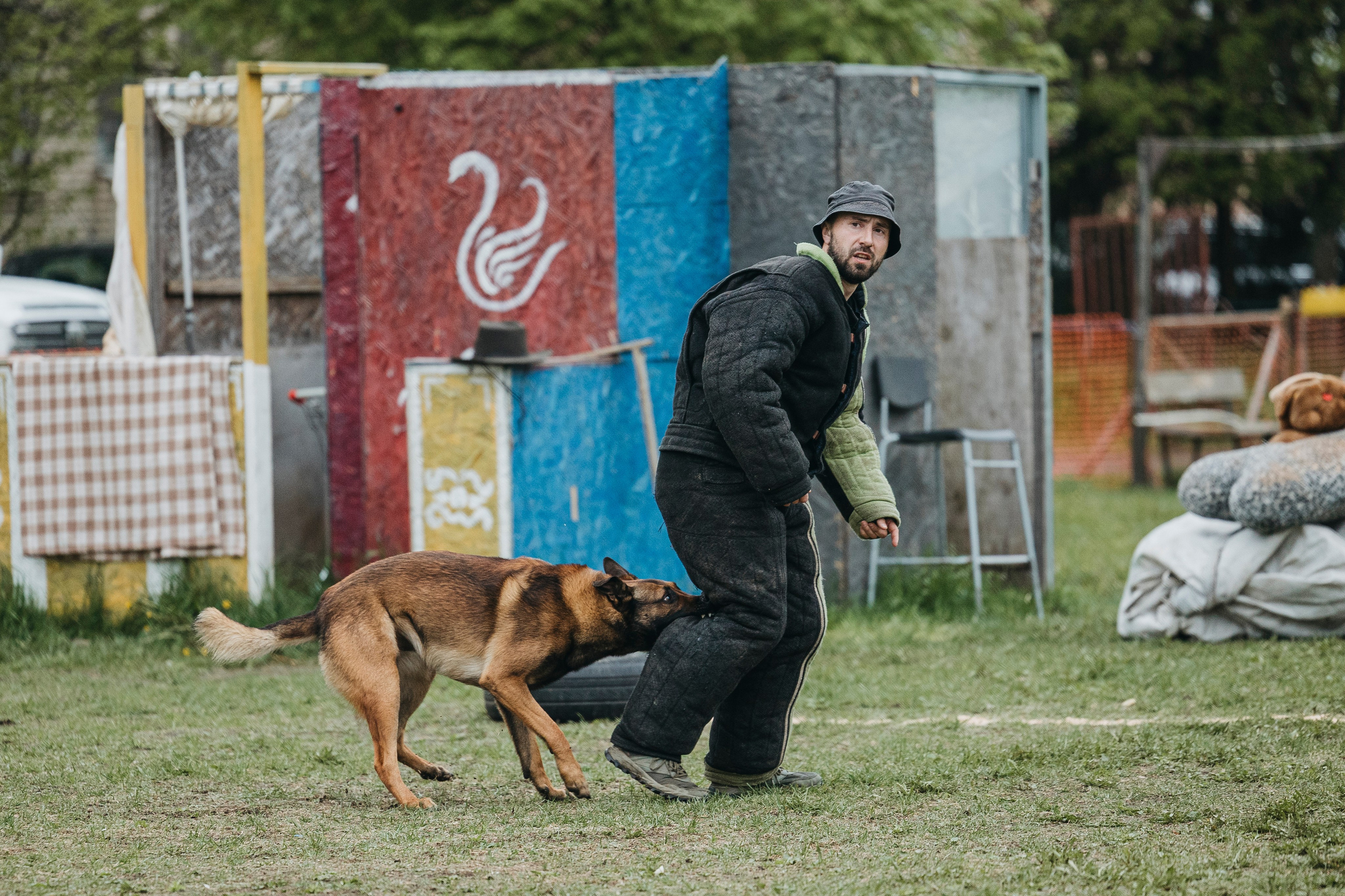 26.05.25 г. Пушкин квалификационные соревнования. Фотограф-анималист Анна Маринич