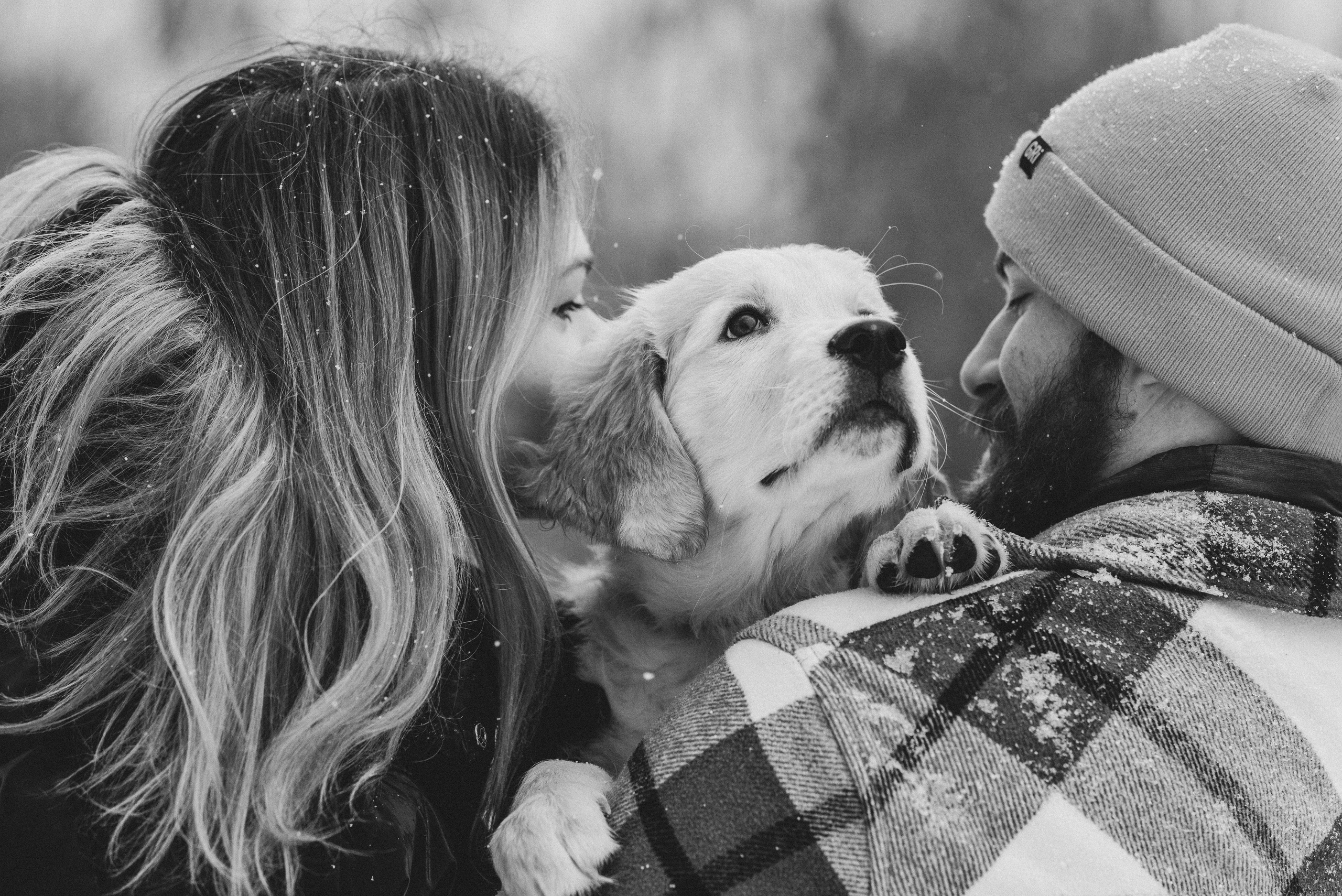 Sonia, Denis & Baggi. Natalia Finch Photography — Family, Kids & Pet Photographer in Chicago, IL