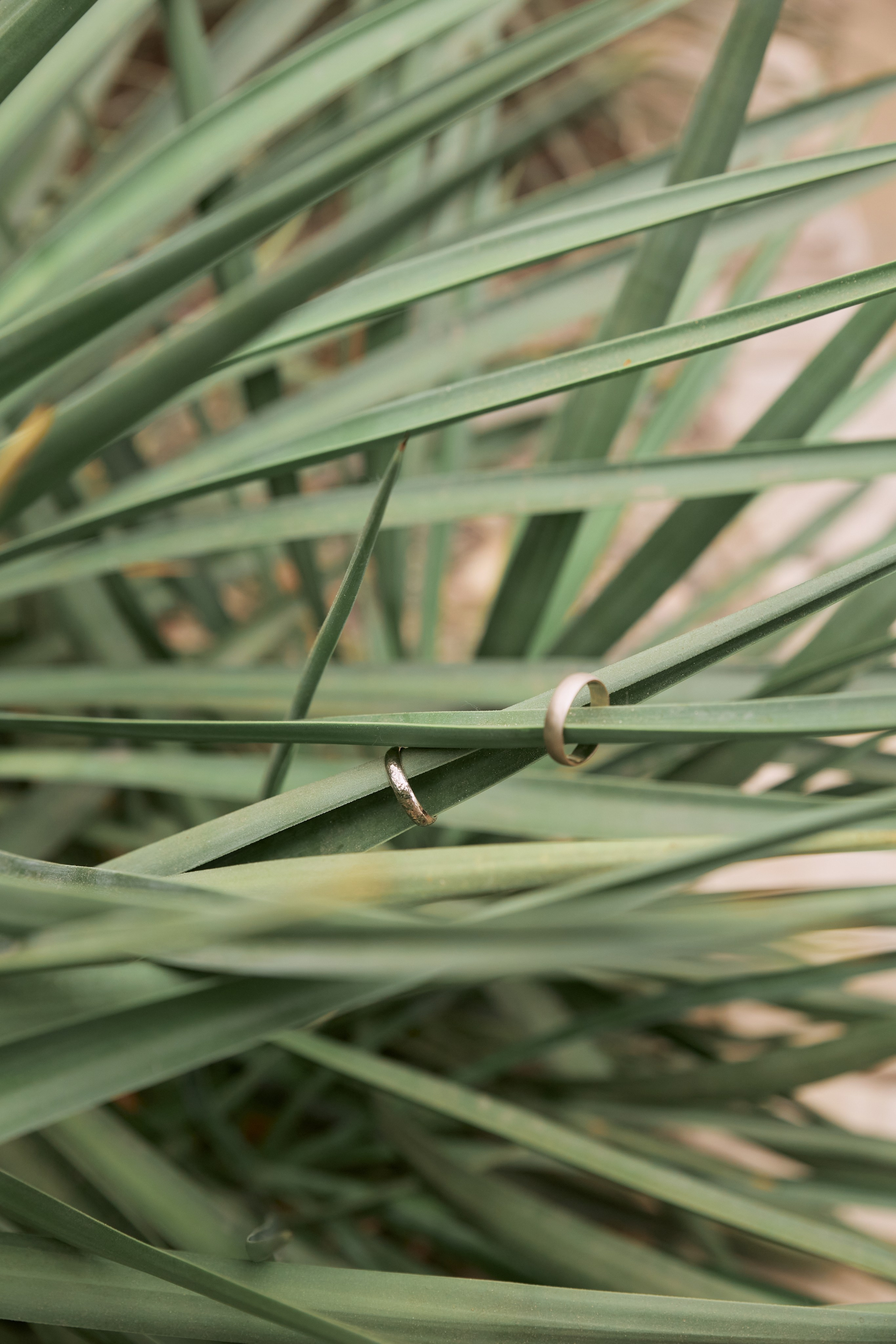 Фотограф и свадебный фотограф в Москве