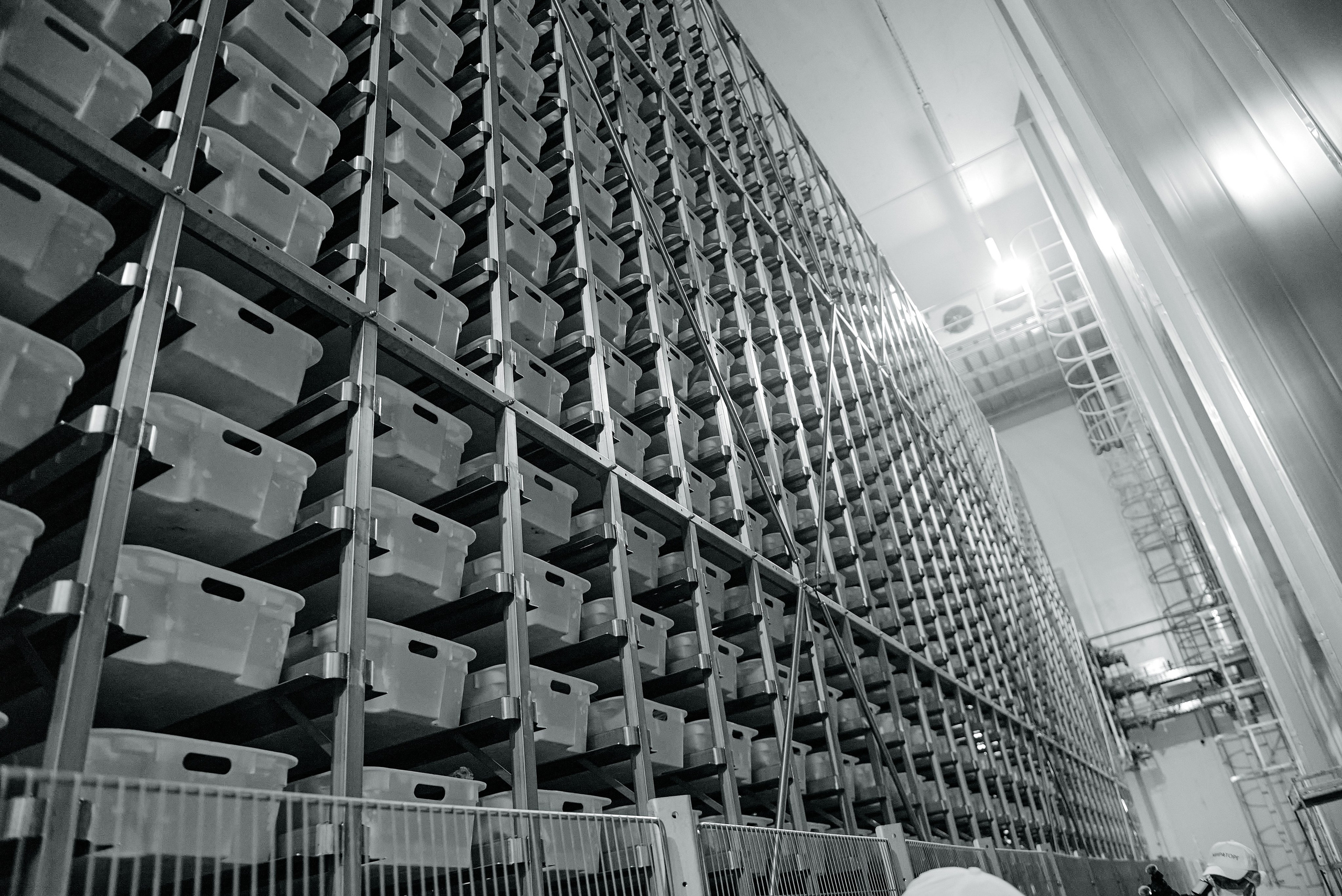 Фотограф на мероприятие. Light Media — креативный видеопродакшн