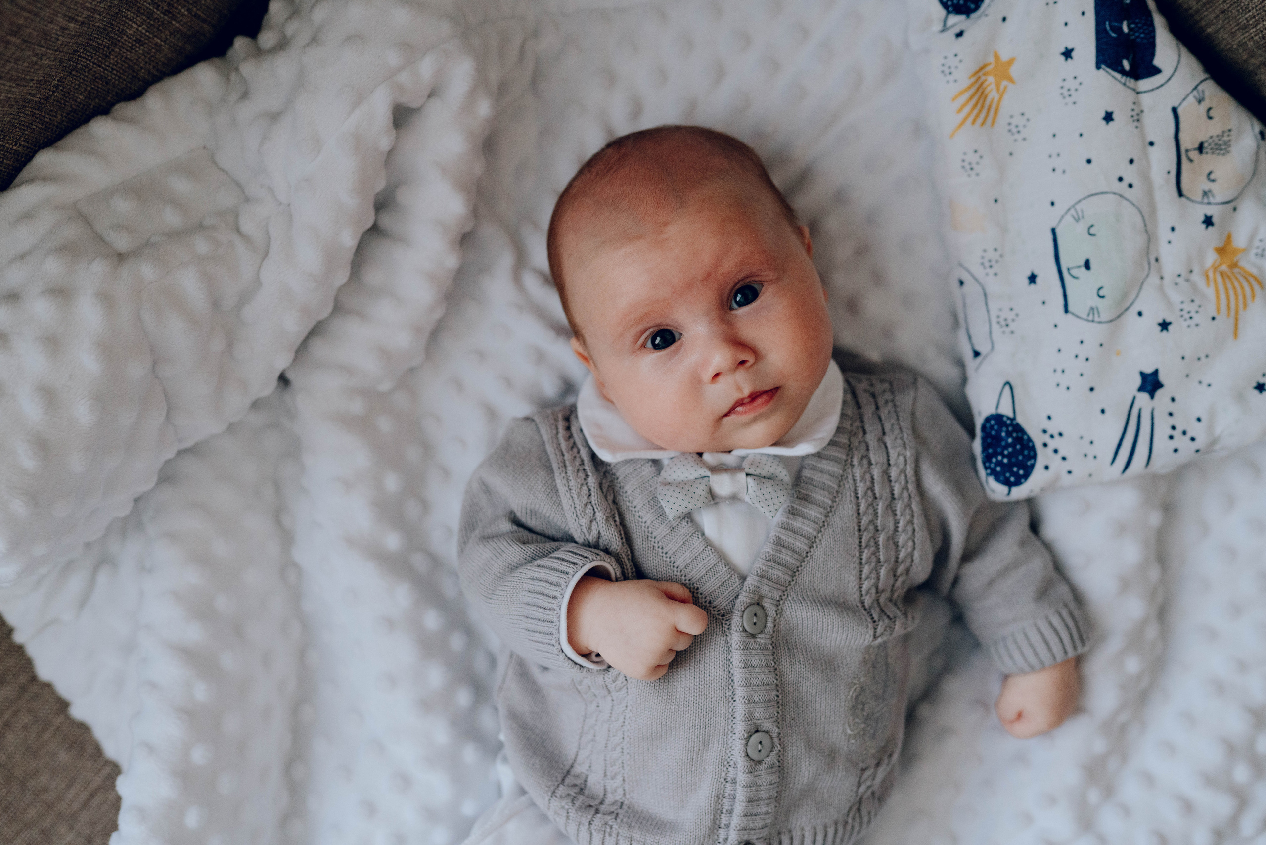 Елена, Михаил и Маркуша. Семейный фотограф в Москве Лилия Лебедева