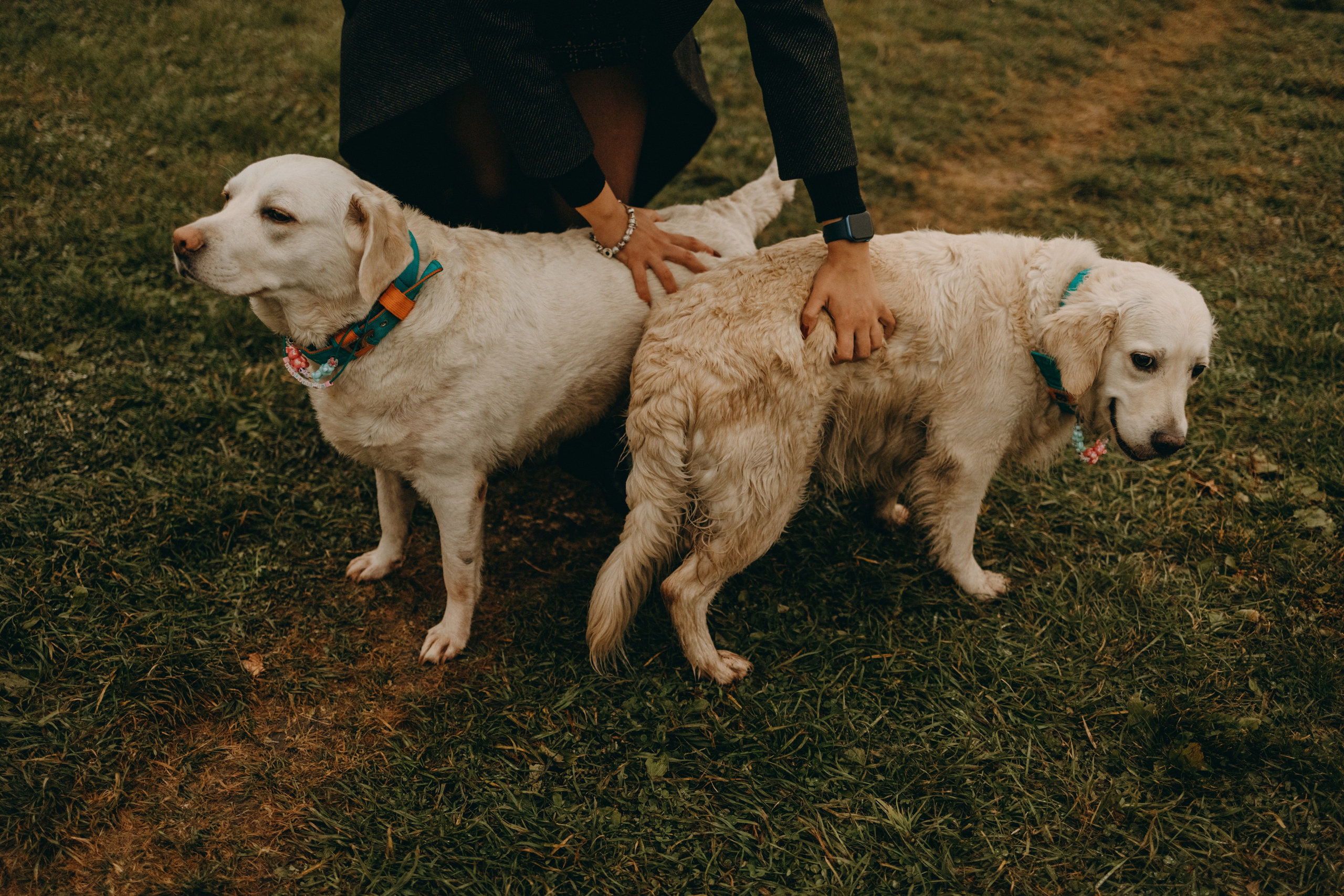 Женя и ее девочки. Фотограф — Анималист | Санкт-Петербург