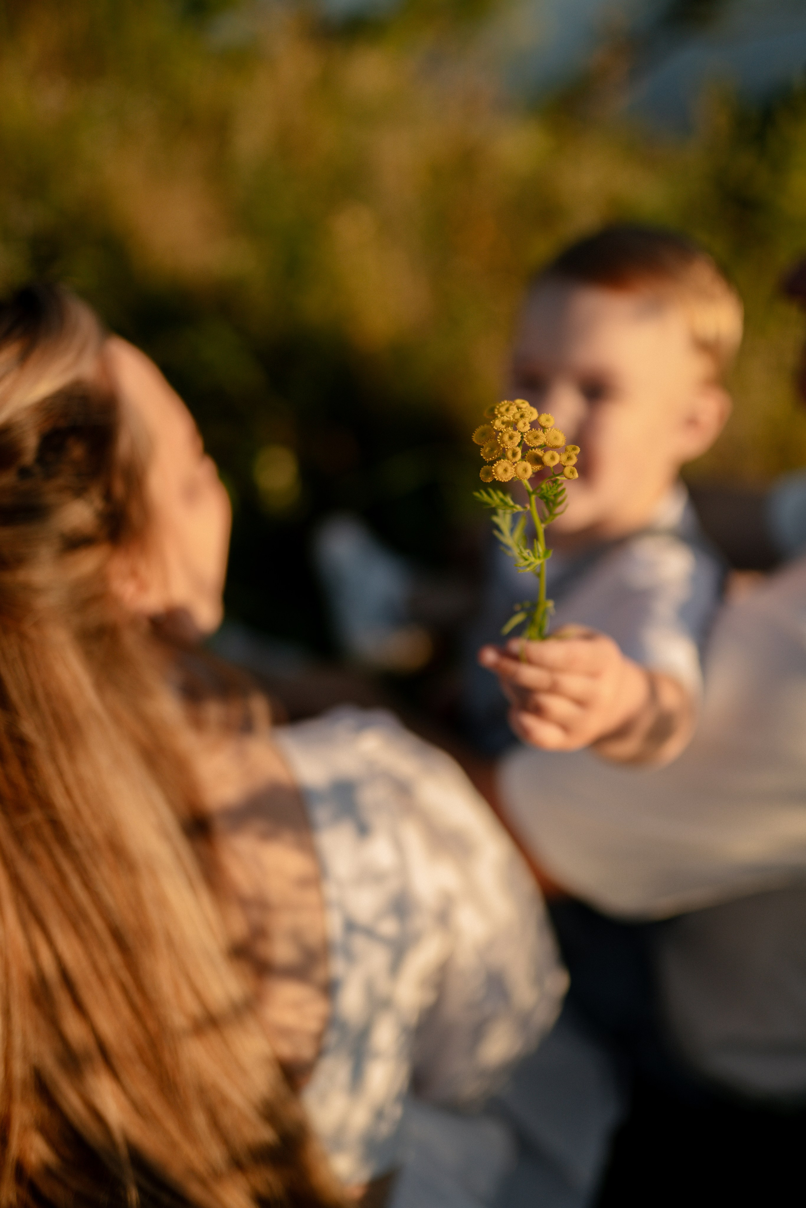 Леша, Алина и Вова. Семейный и свадебный фотограф в Москве и Калуге Рослова Анастасия