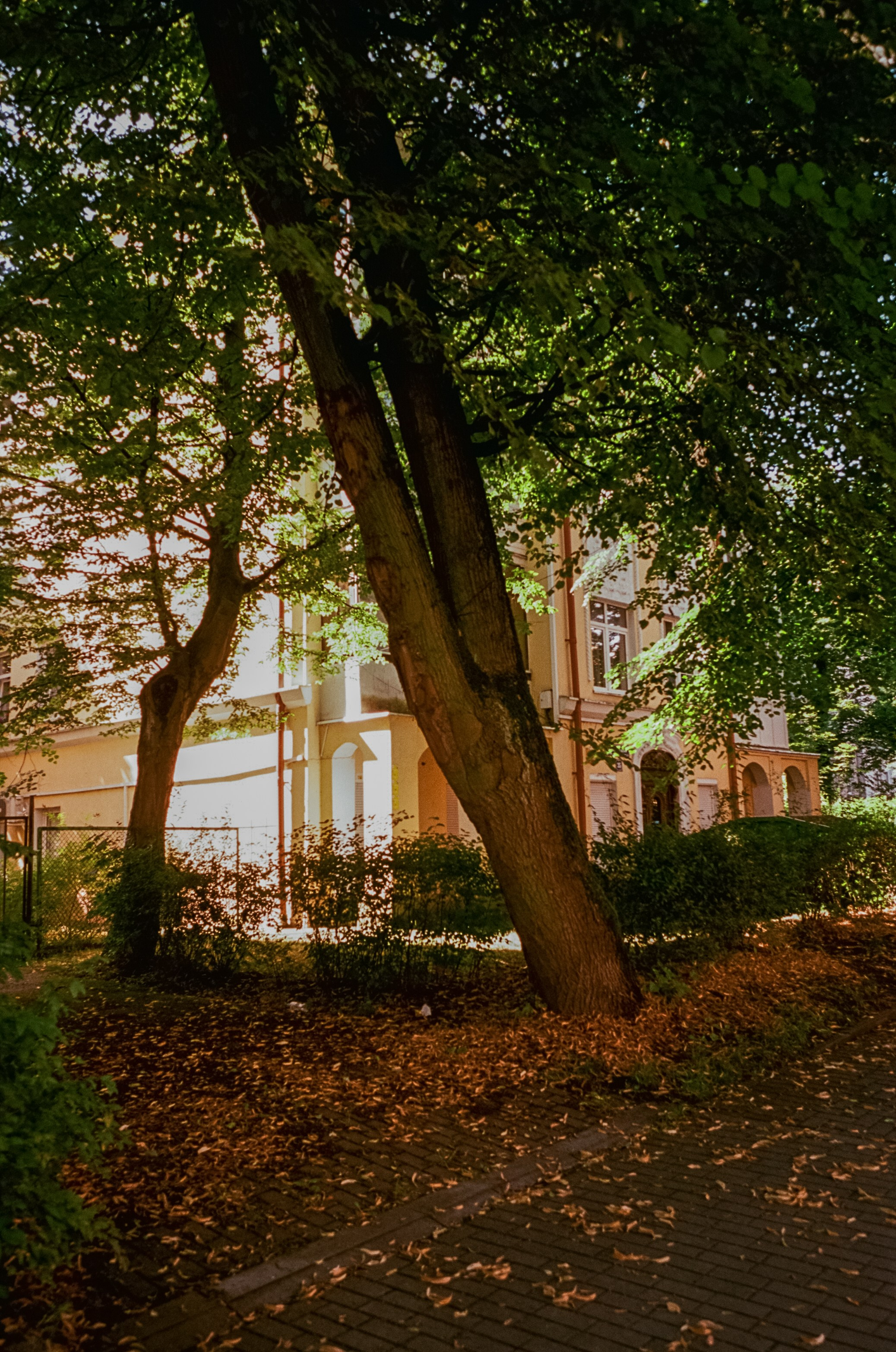 Калининград. Верхнее озеро, Safe Coffee и кафе Толстой. Фотограф-документалист Мария Осокина