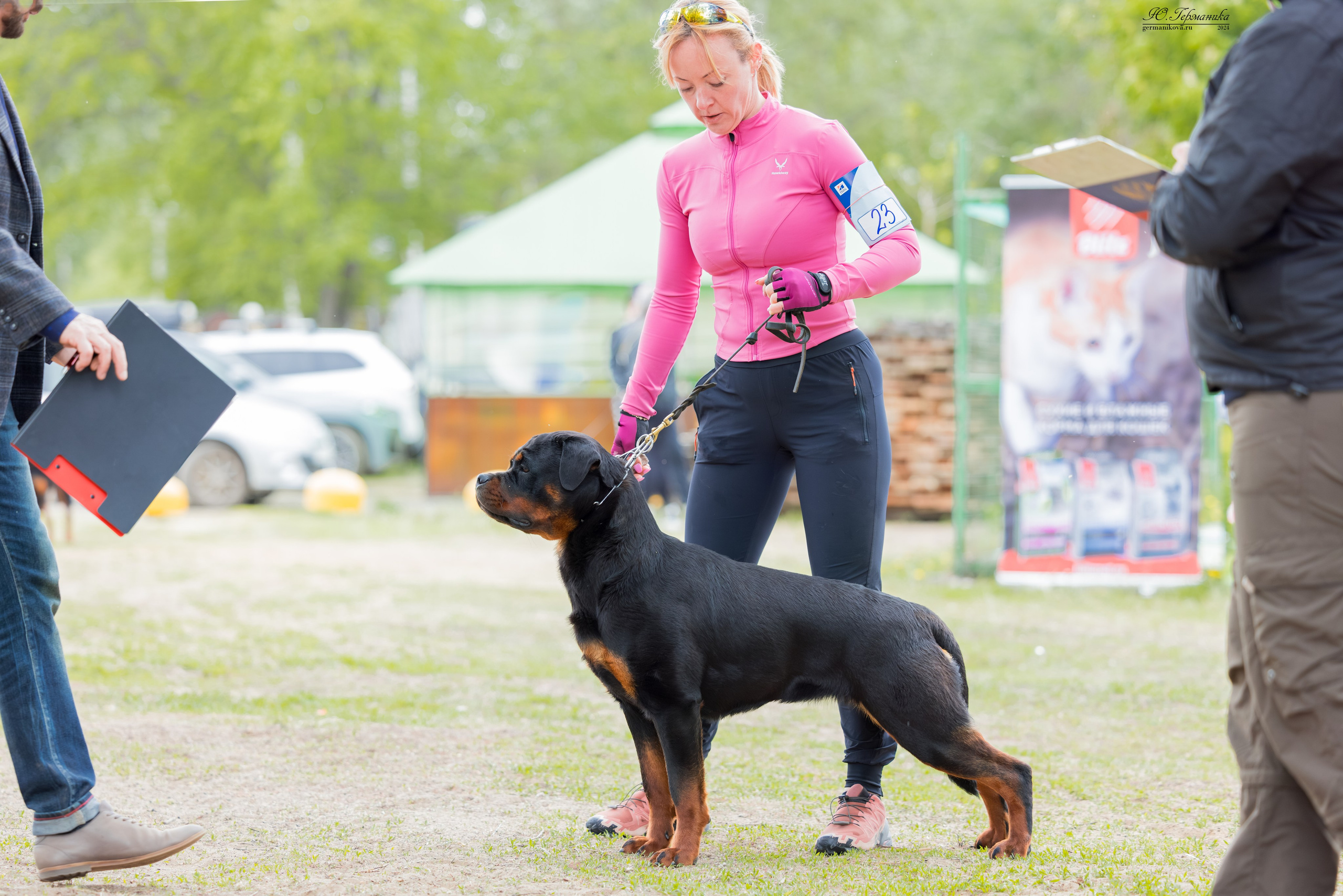 Саратов 2 х моно ротвейлеров 28-29.04.2024. Фотограф-анималист Юлия Германика