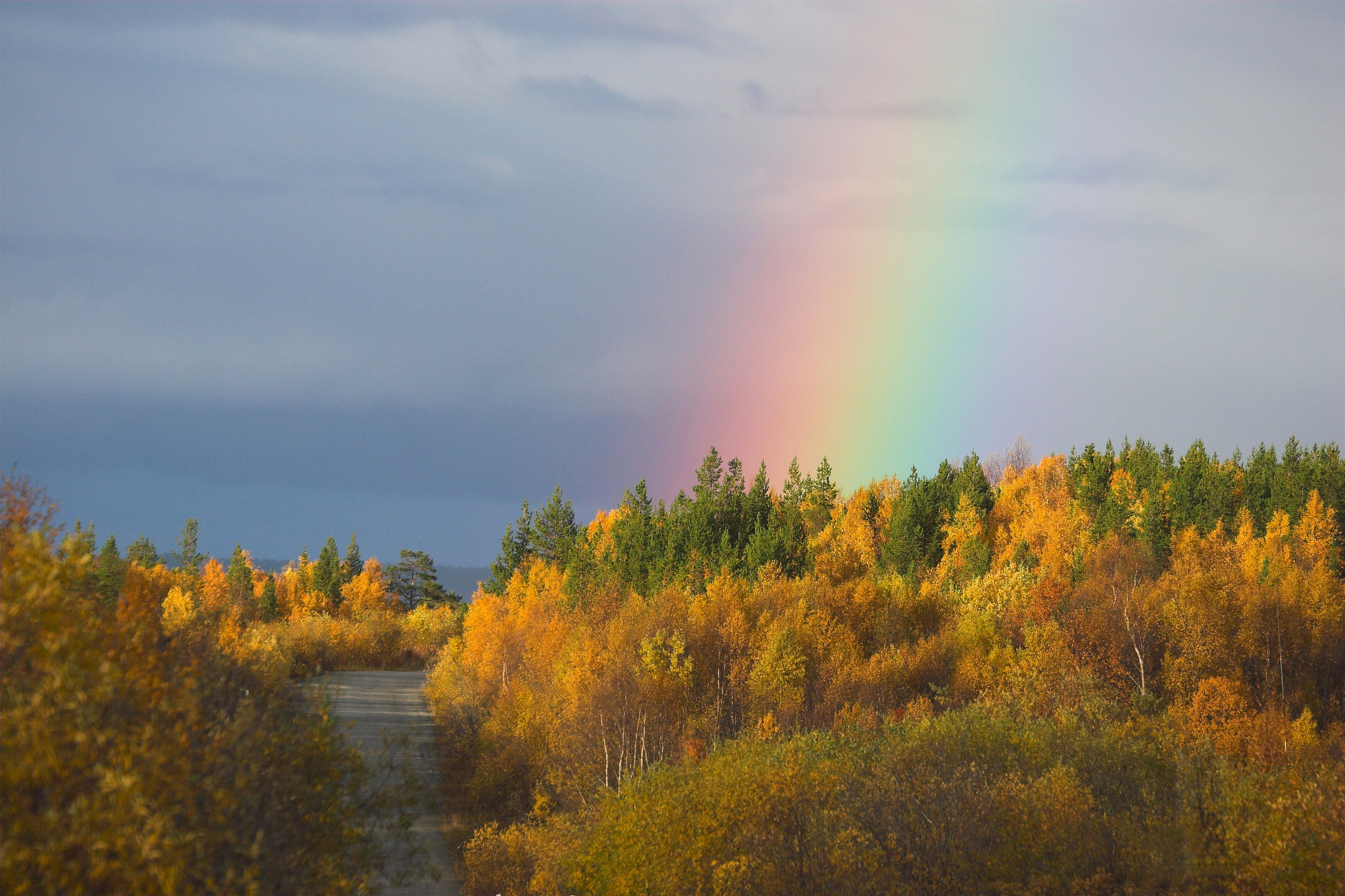 Тундра Лес и Сопки. Пейзажи Крайнего Севера. Баренцево море, Рыбачий, Средний, Немецкий