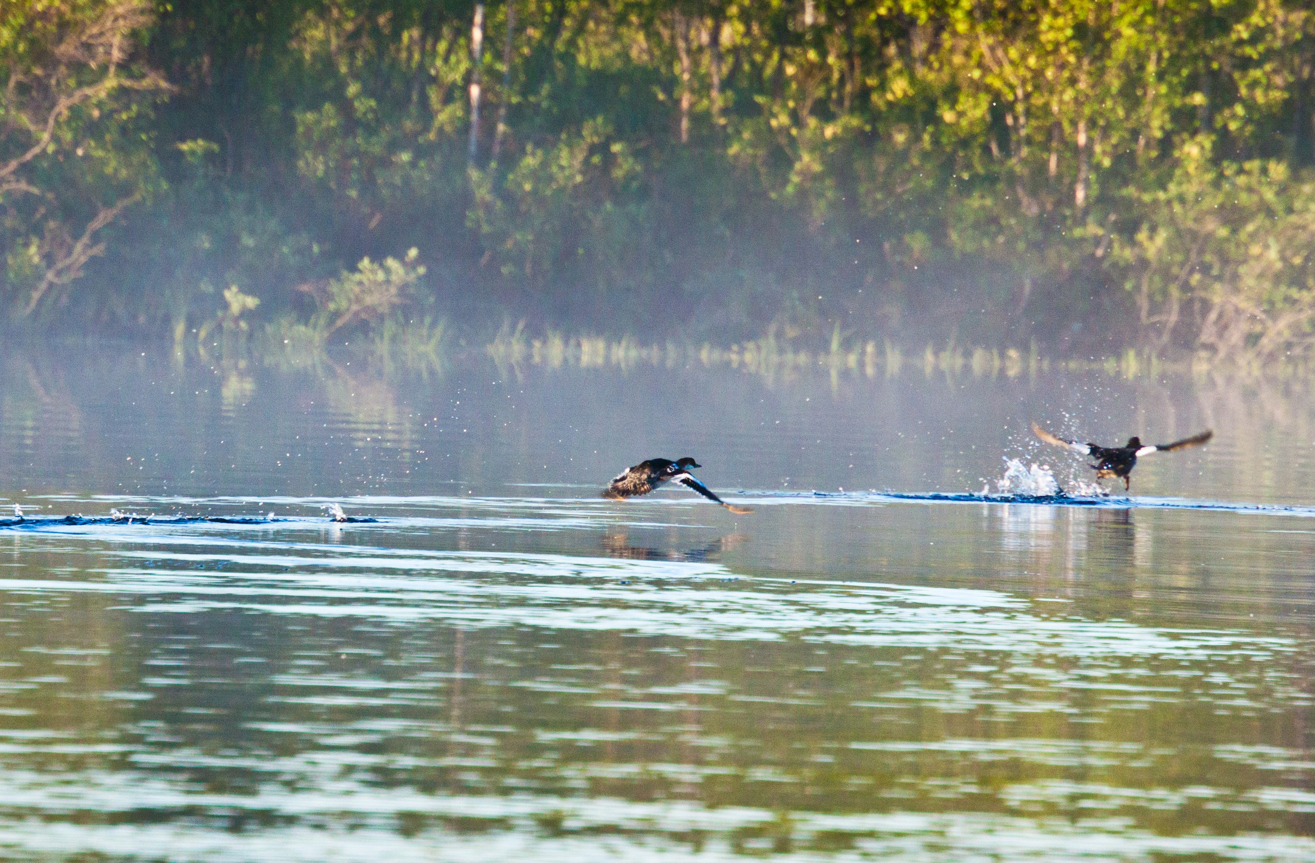 Река Паз. Пейзажи Крайнего Севера. Баренцево море, Рыбачий, Средний, Немецкий
