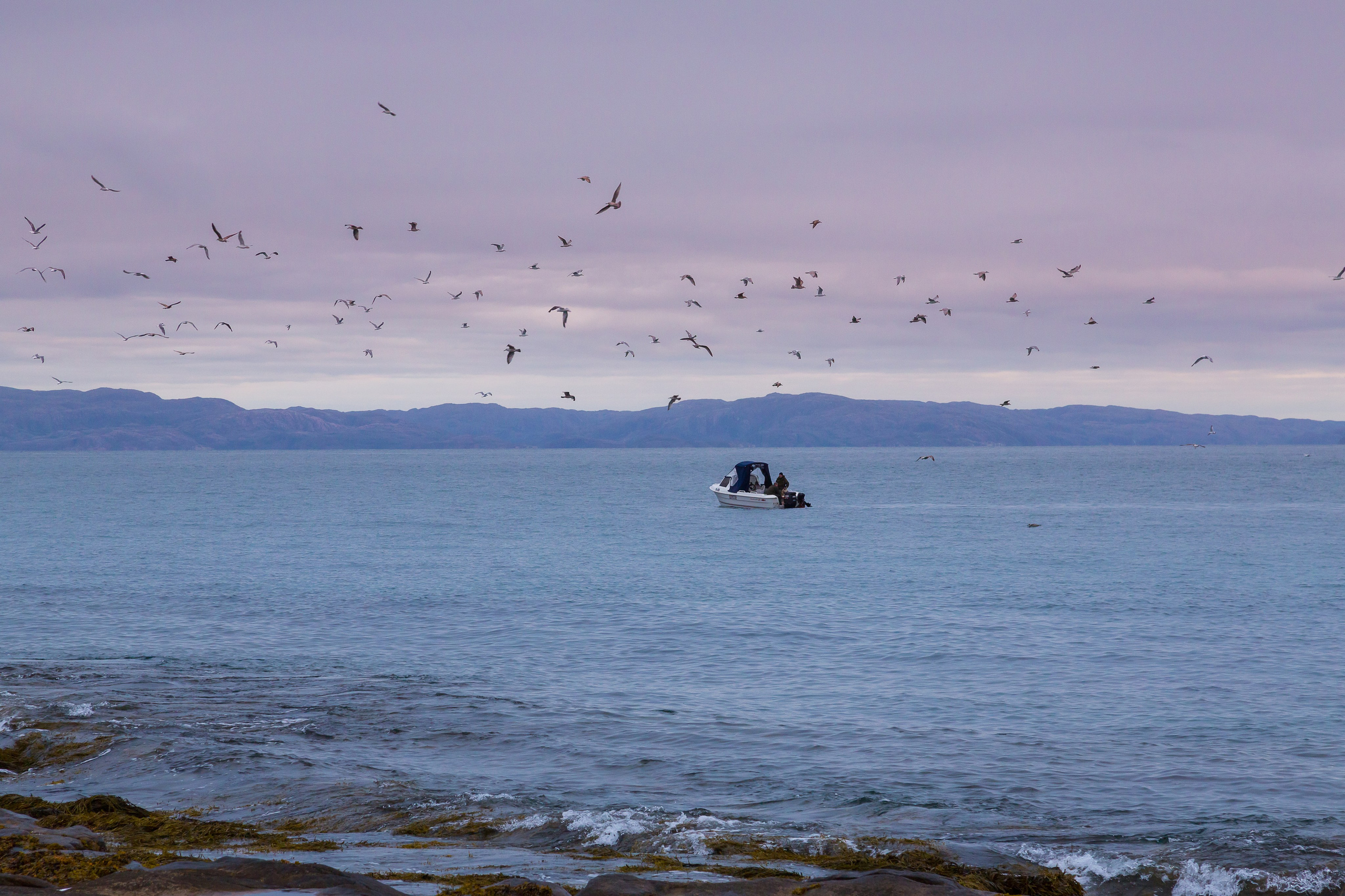 Баренцево море. Пейзажи Крайнего Севера. Баренцево море, Рыбачий, Средний, Немецкий