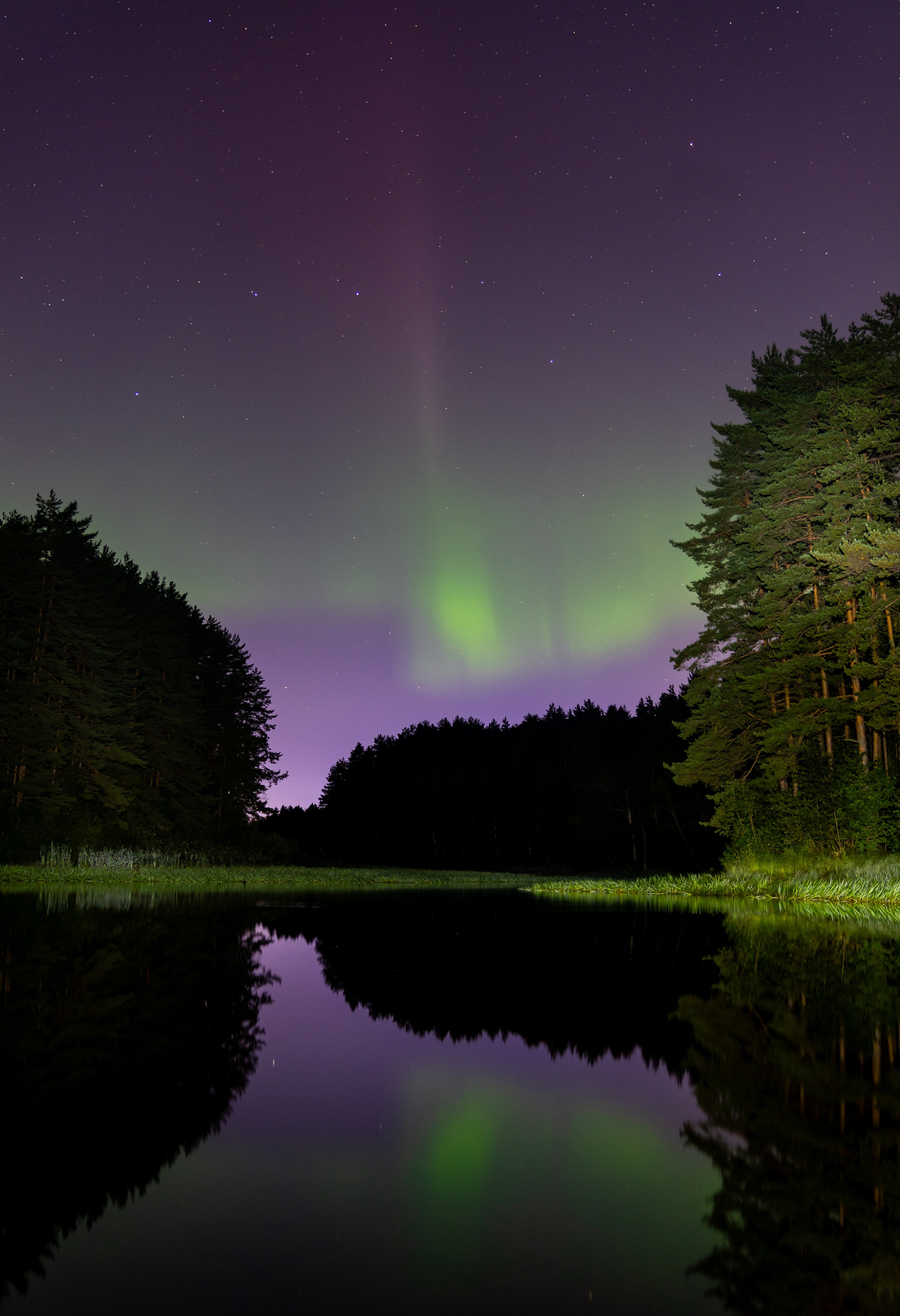 Фотогалерея Евгений Мальцев: Природа, пейзажи. Репортажный фотограф Санкт-Петербург | Мальцев Евгений