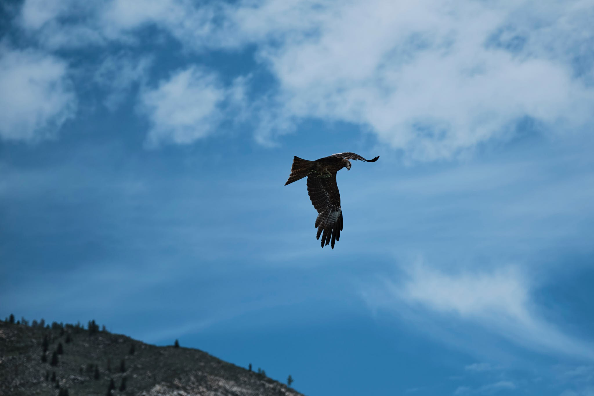 Путешествия/Живопись. Организация фото/видео съемки, Москва