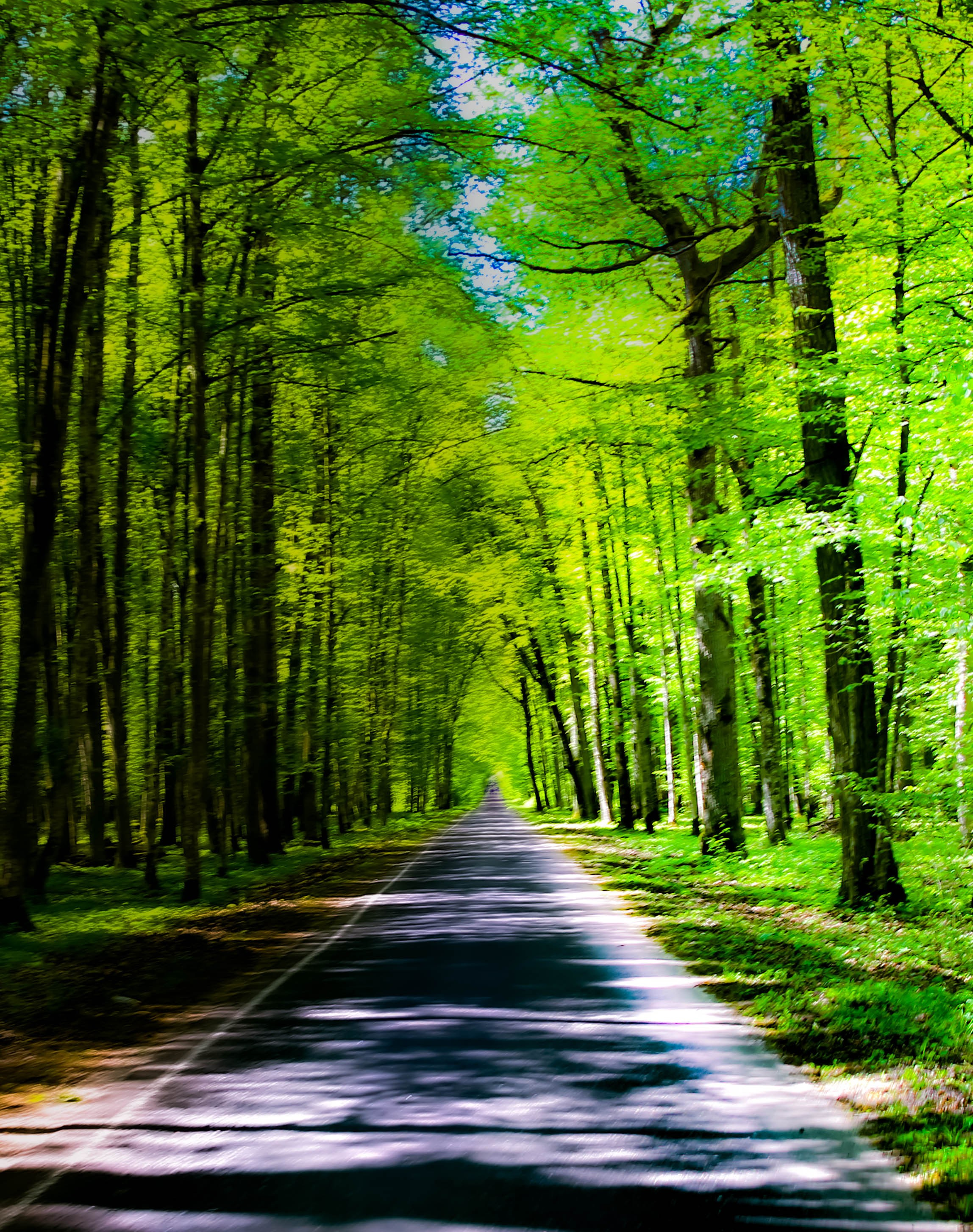 ПЛАНЕТА ЗЕМЛЯ (пейзаж). АЛЕКСЕЙ КОЛМАКОВ. Фотограф. Москва и Московская область