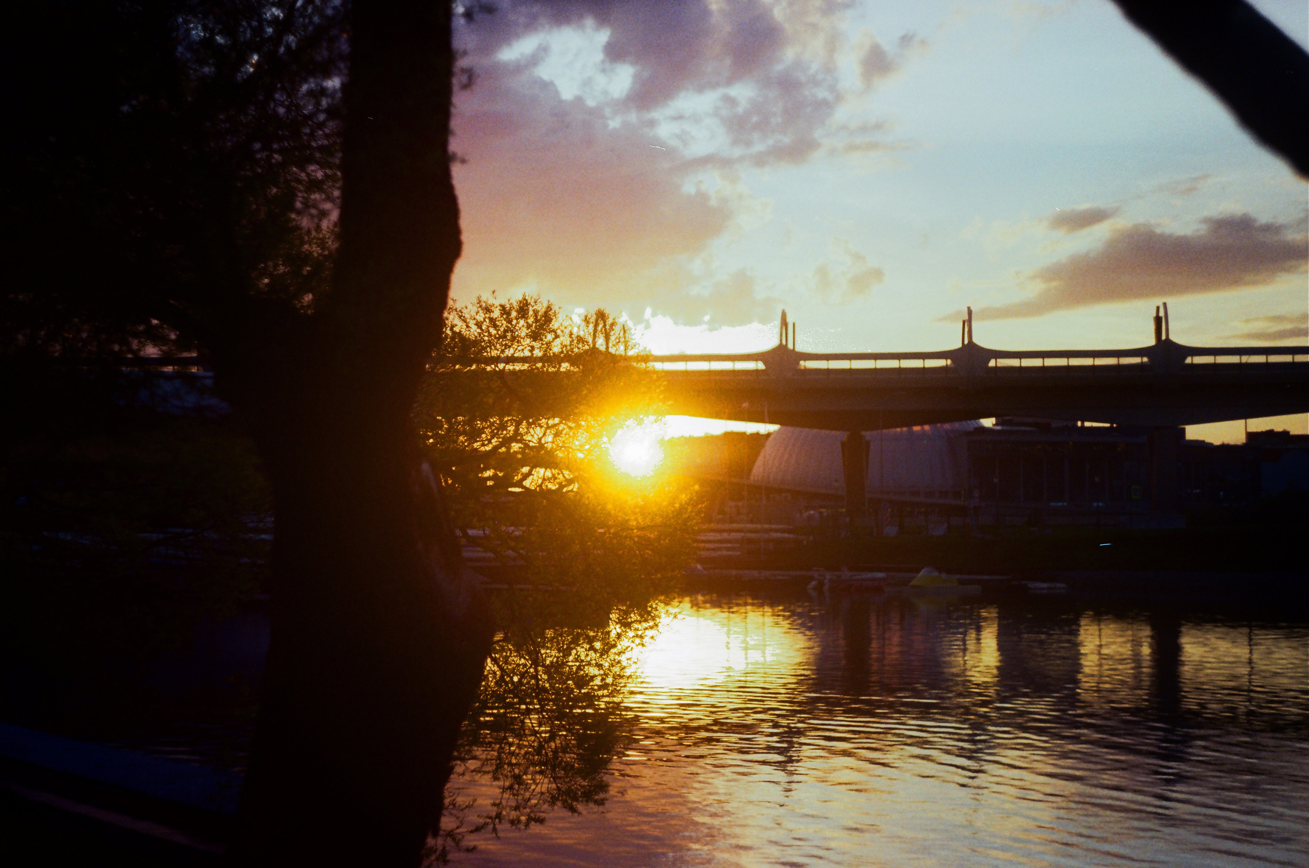 Пленочные съемки. Фотограф YODLUCE