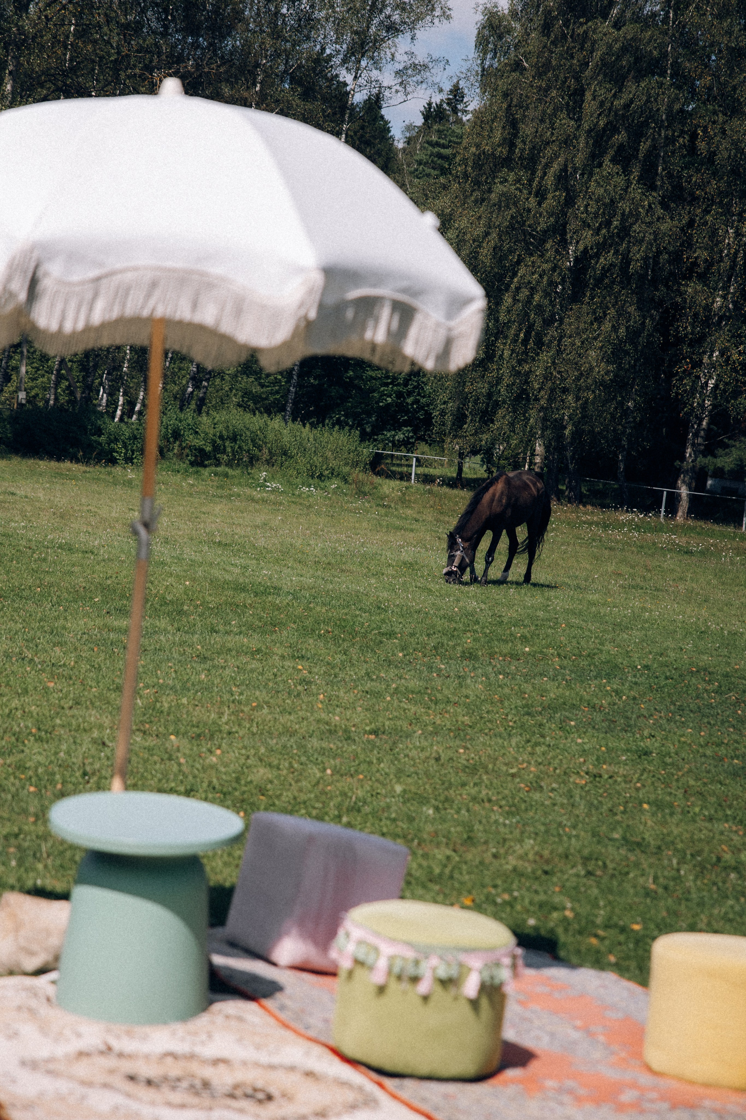 Вика и Ваня. Анастасия Мелёхина Фотограф Москва, Свадебный фотограф Москва