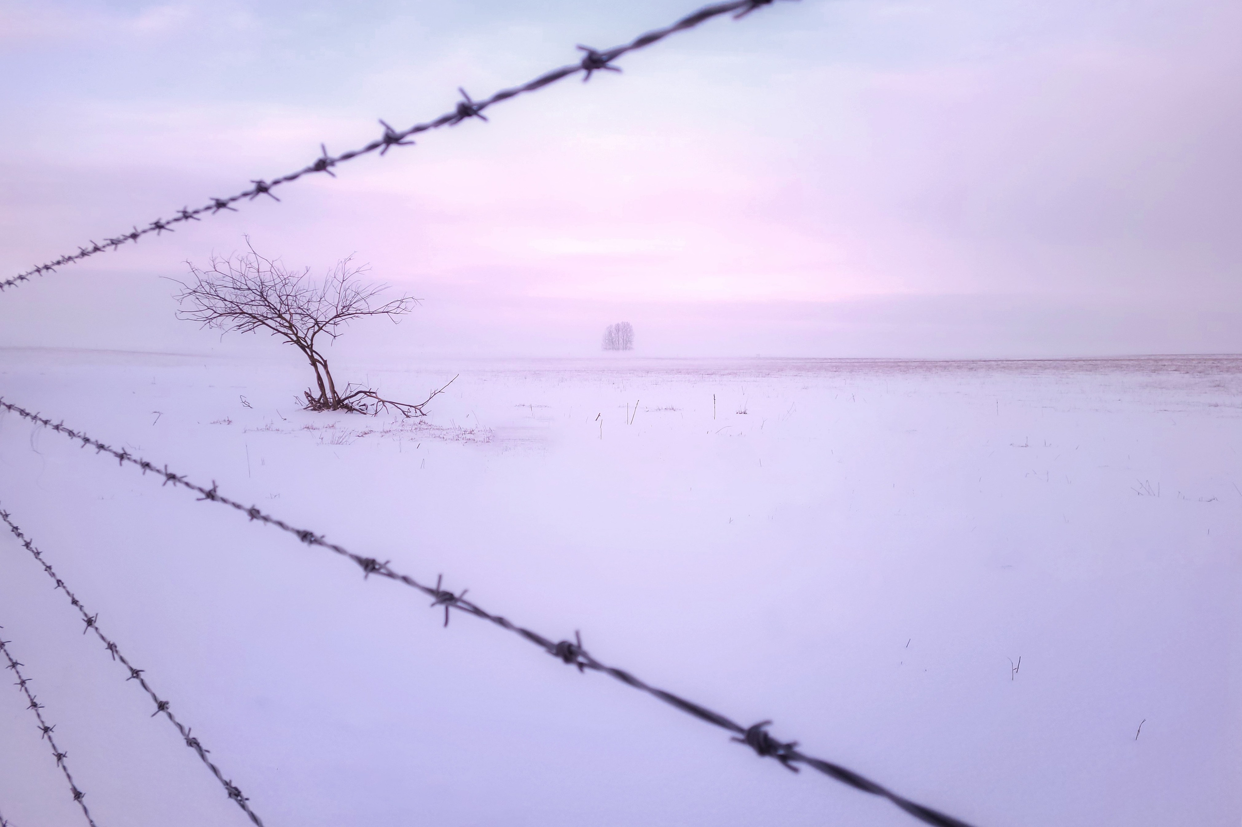 По дороге в Суворов. Пейзажная и архитектурная фотография в Туле, Татьяна Silva