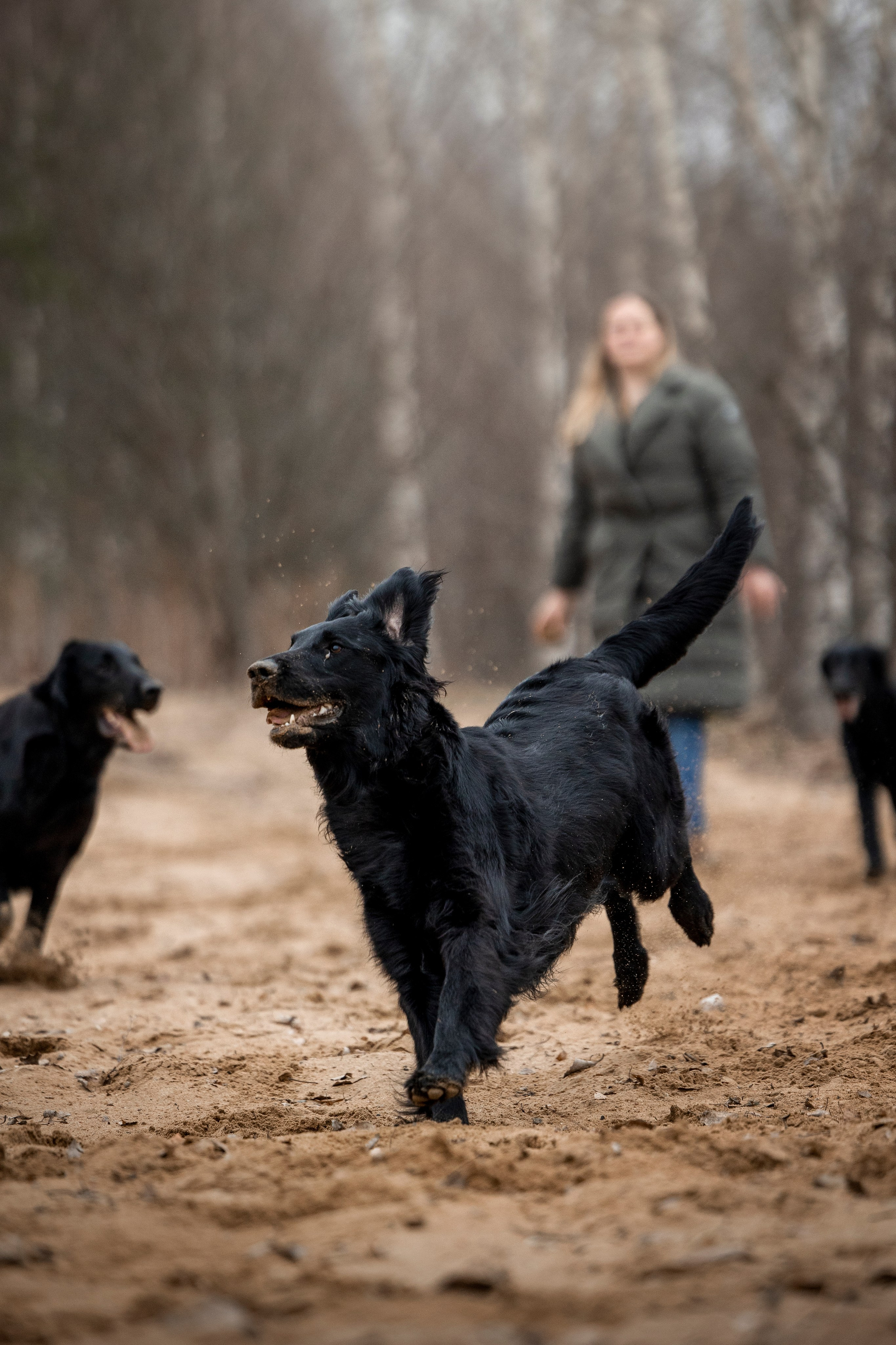 Ора, Ева, Рози и их семья. Фотограф — Анималист | Санкт-Петербург