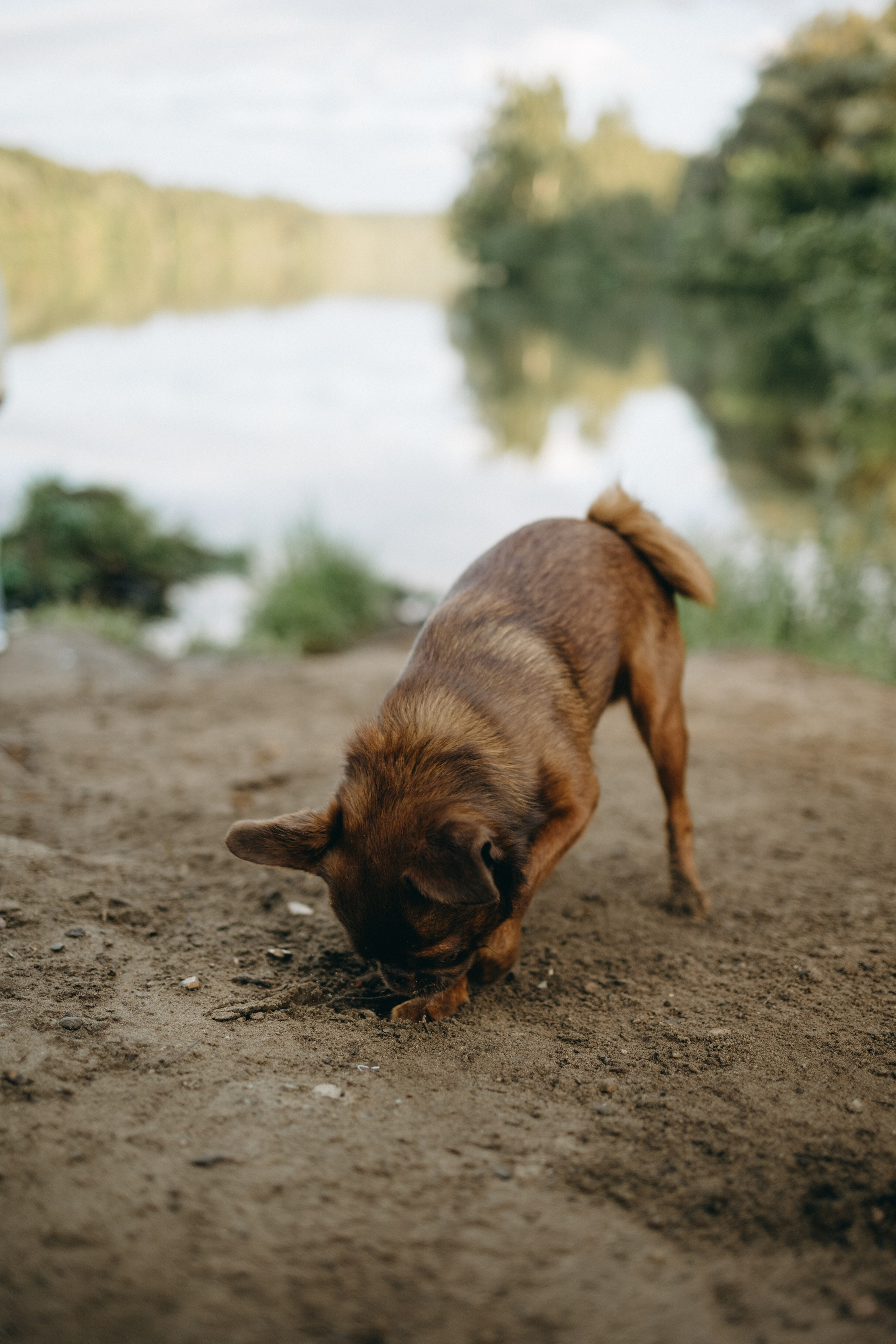 Екатерина и Лёня. Фотограф — Анималист | Санкт-Петербург