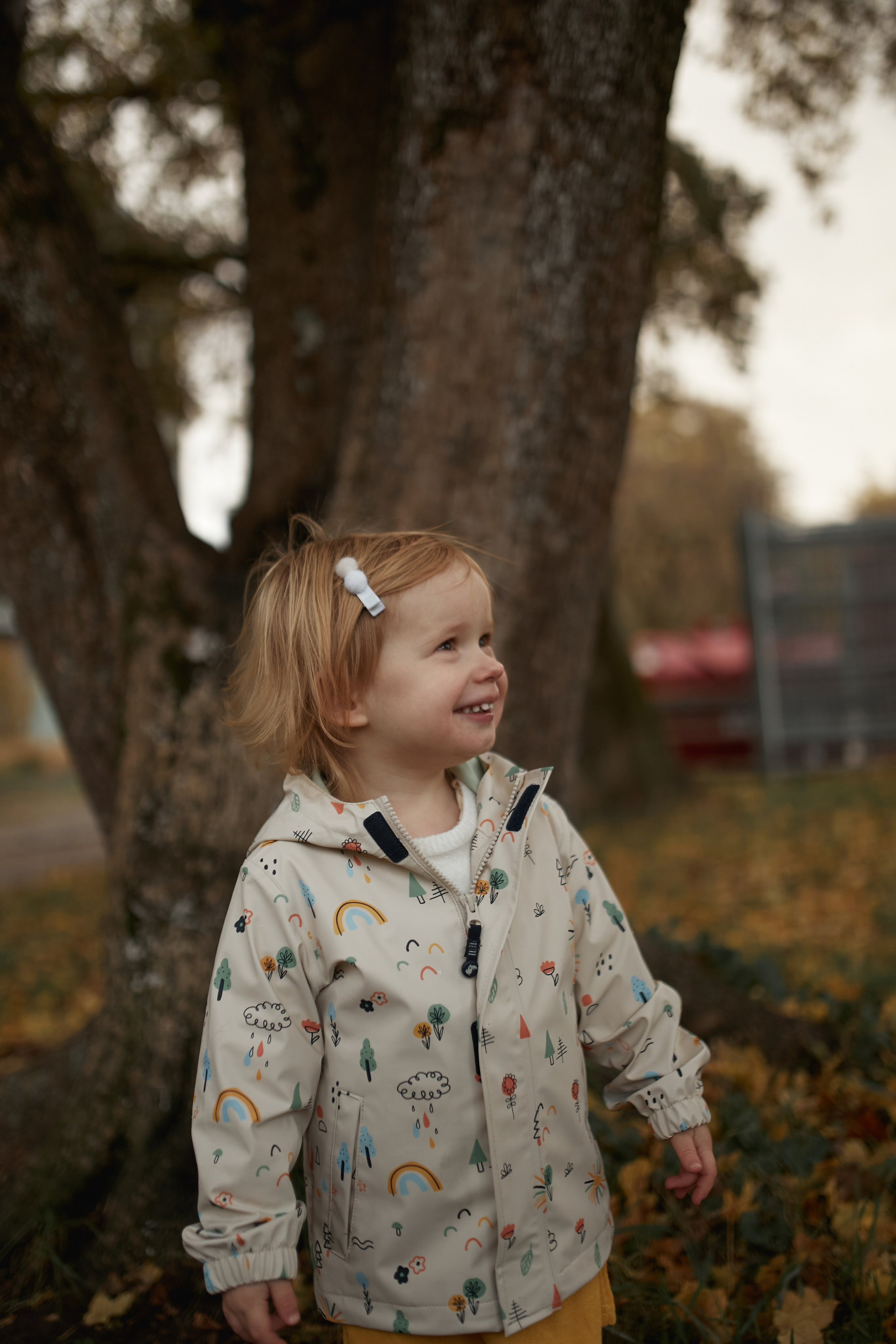 Осень в Цюрихе. Ваш душевный фотограф