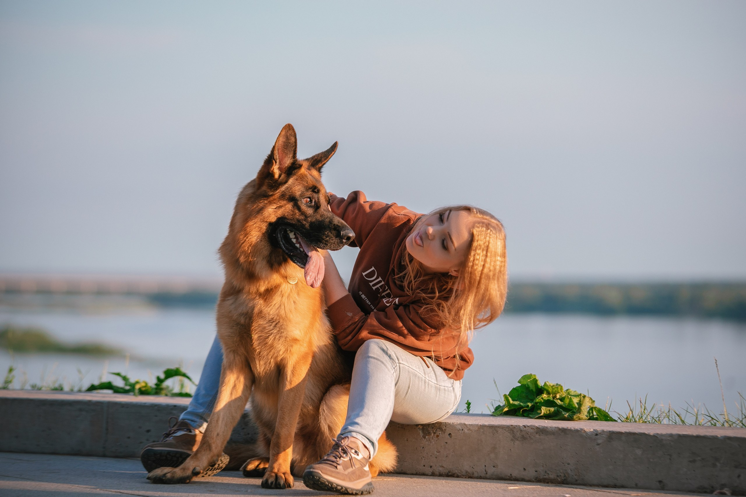 НО Расмус. Рассвет. Фотограф анималист Кузнецова Анна Нижний Новгород