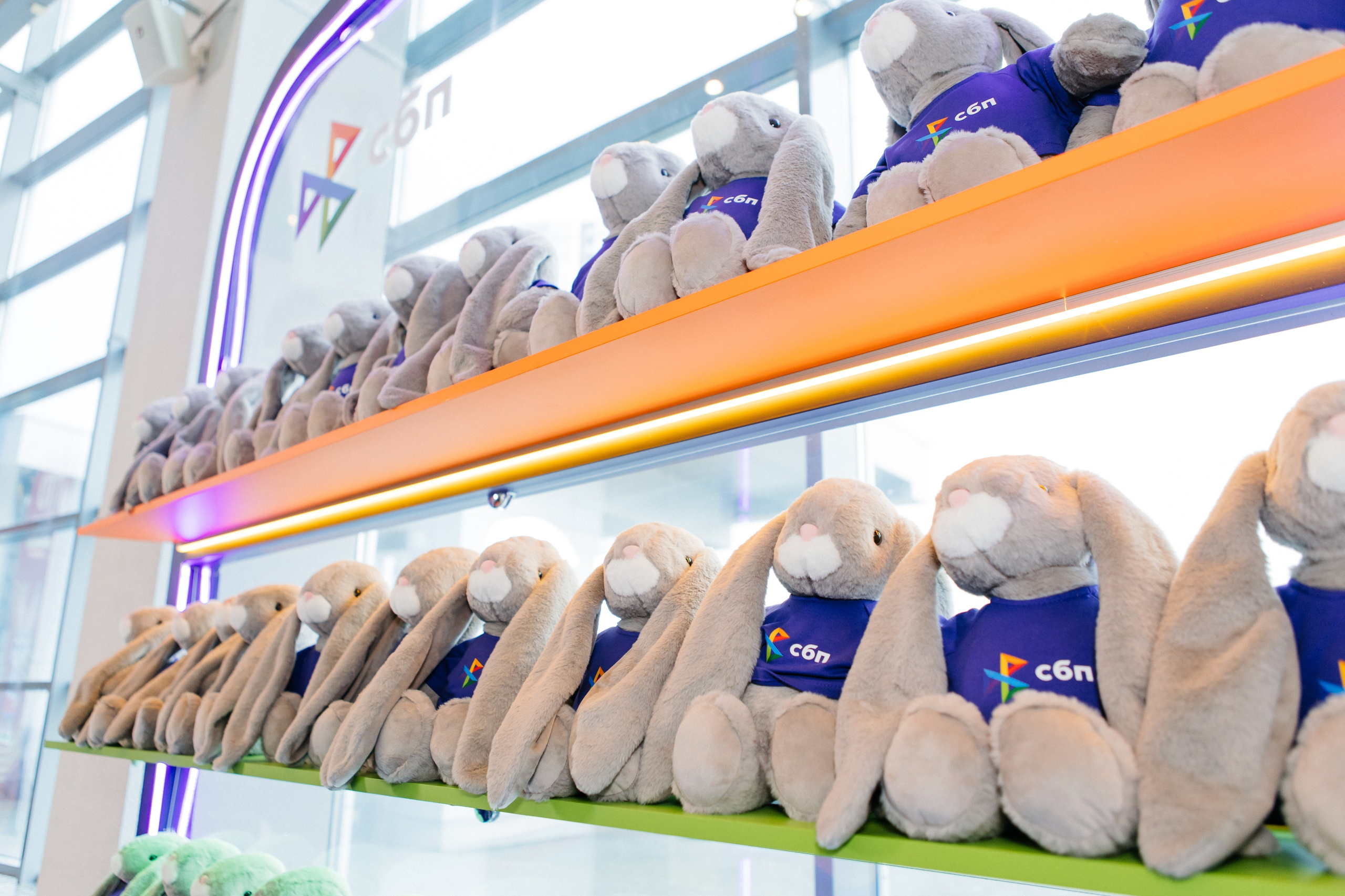 СБП в Тракторе. Видеограф и Фотограф в Челябинске Ксения и Владимир Рюмины