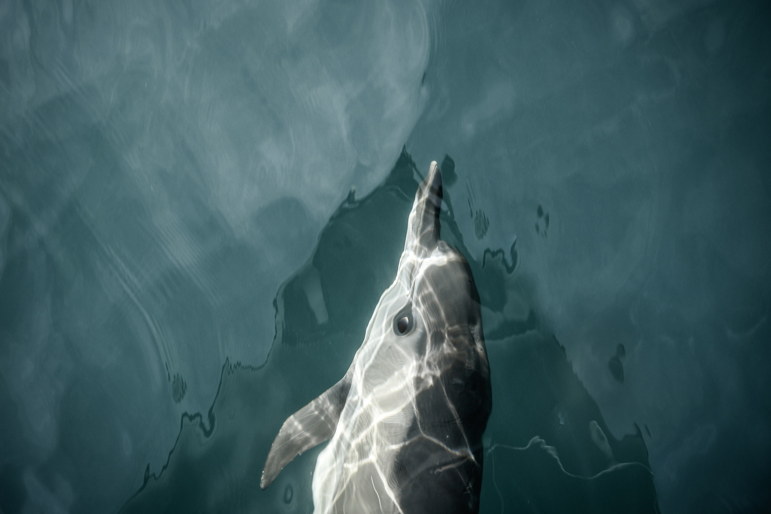 Wild and free. Anastasia Serdyuk, travel photographer, travel photo, portraits, stories, fineart prints