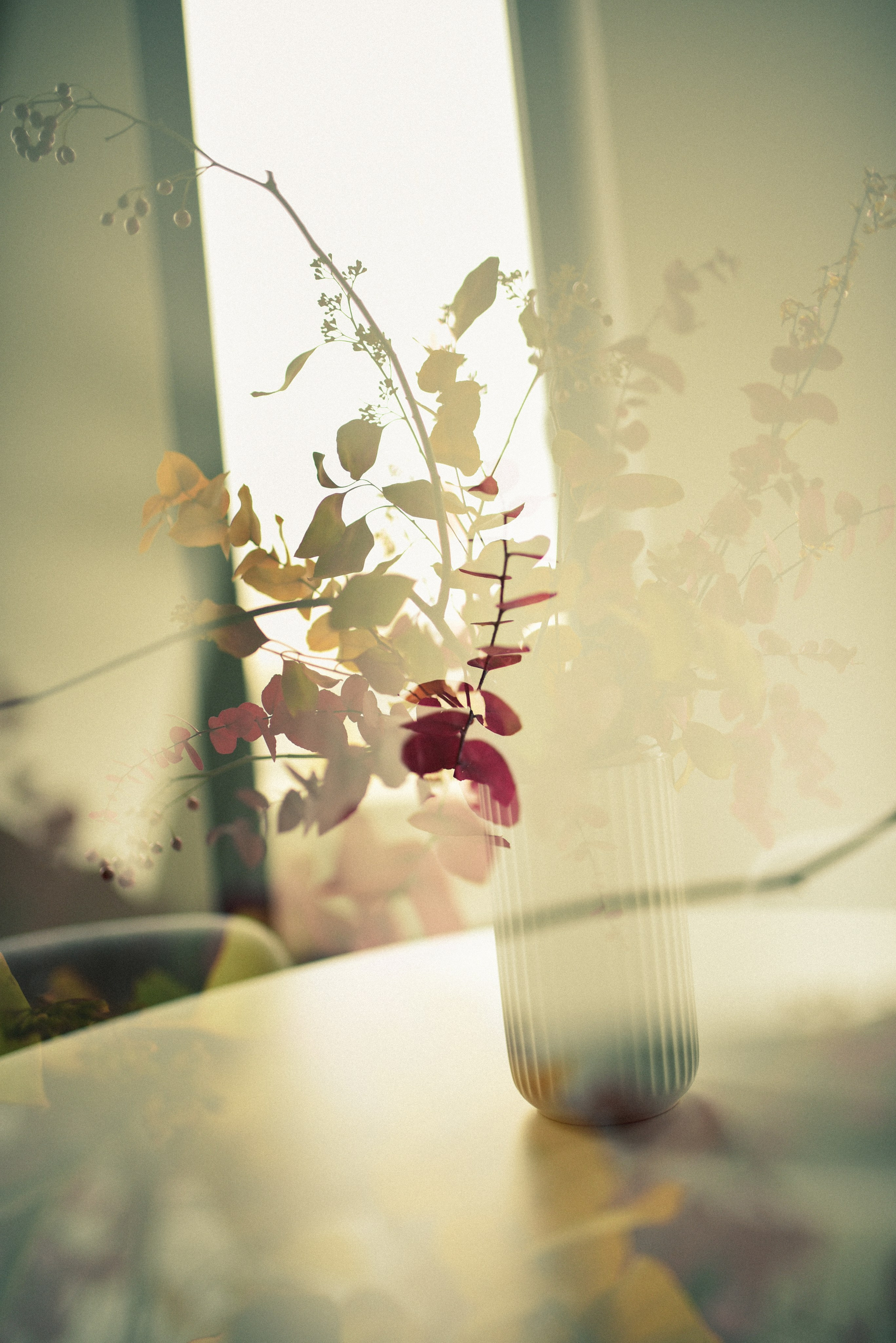 Nature. Anastasia Serdyuk, travel photographer, travel photo, portraits, stories, fineart prints