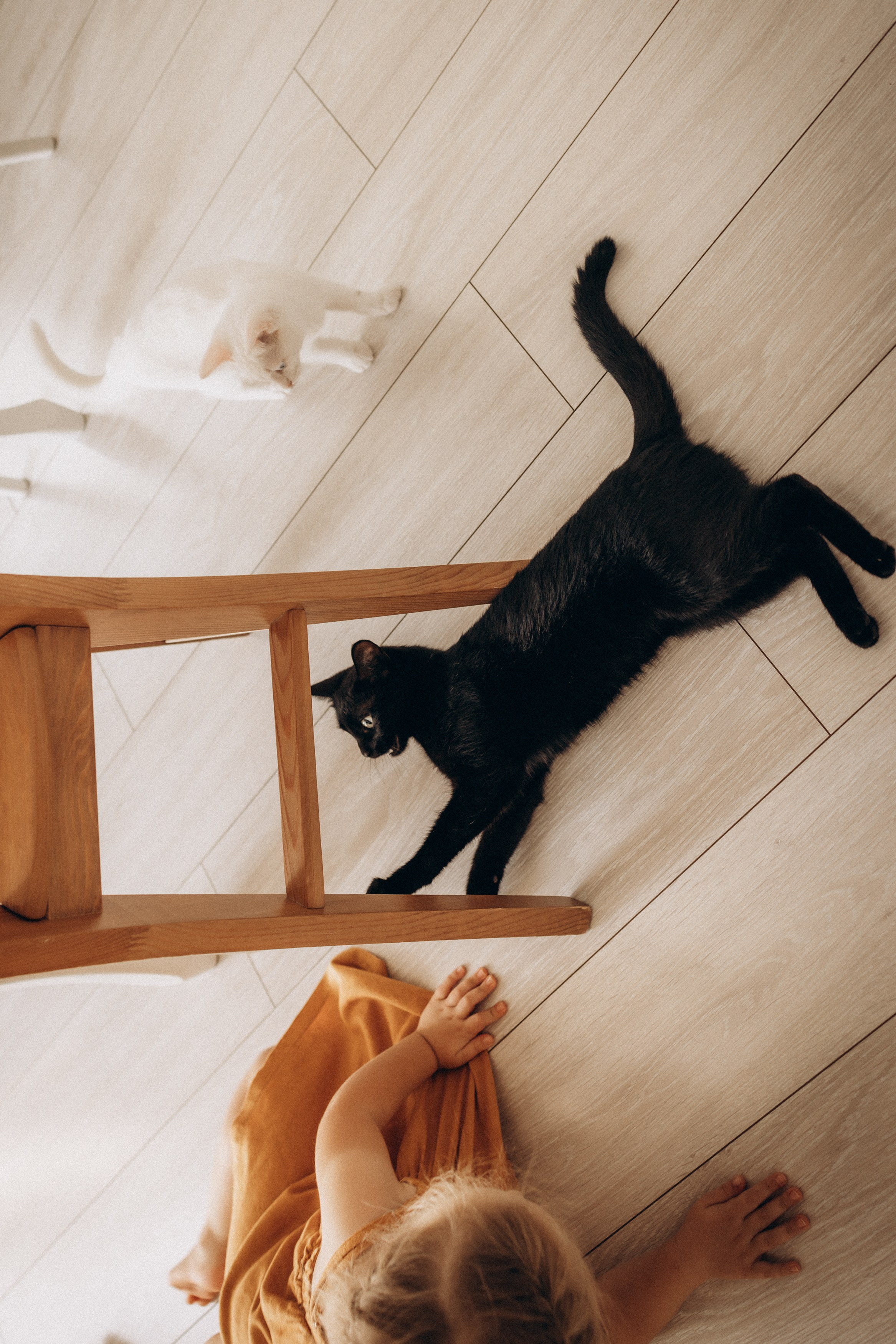 Семейные съемки. Семейный фотограф, детские, семейные, лав стори съемки в Москве