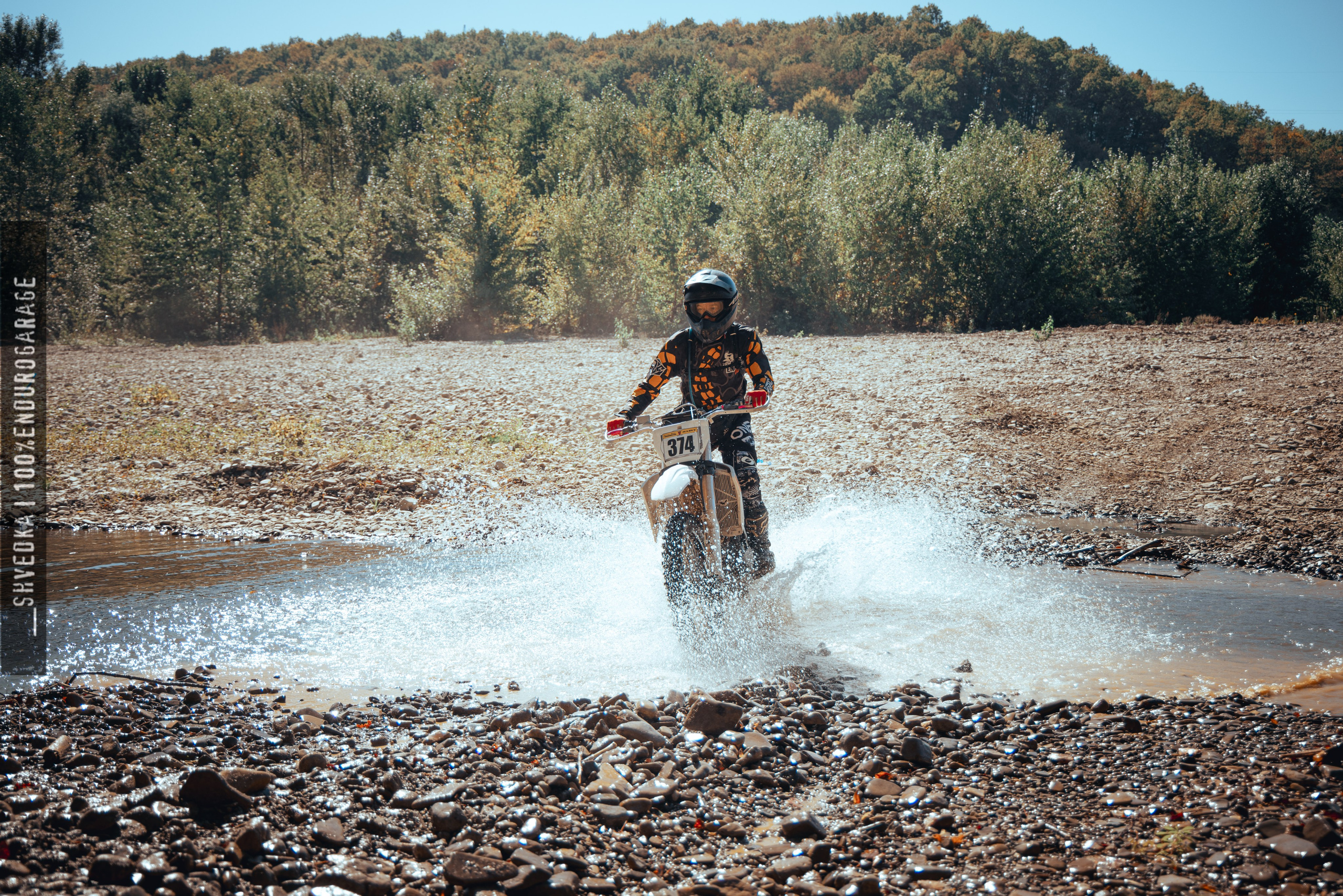 1 лесной день. Ваш экстрим фотограф Кудрева Яна