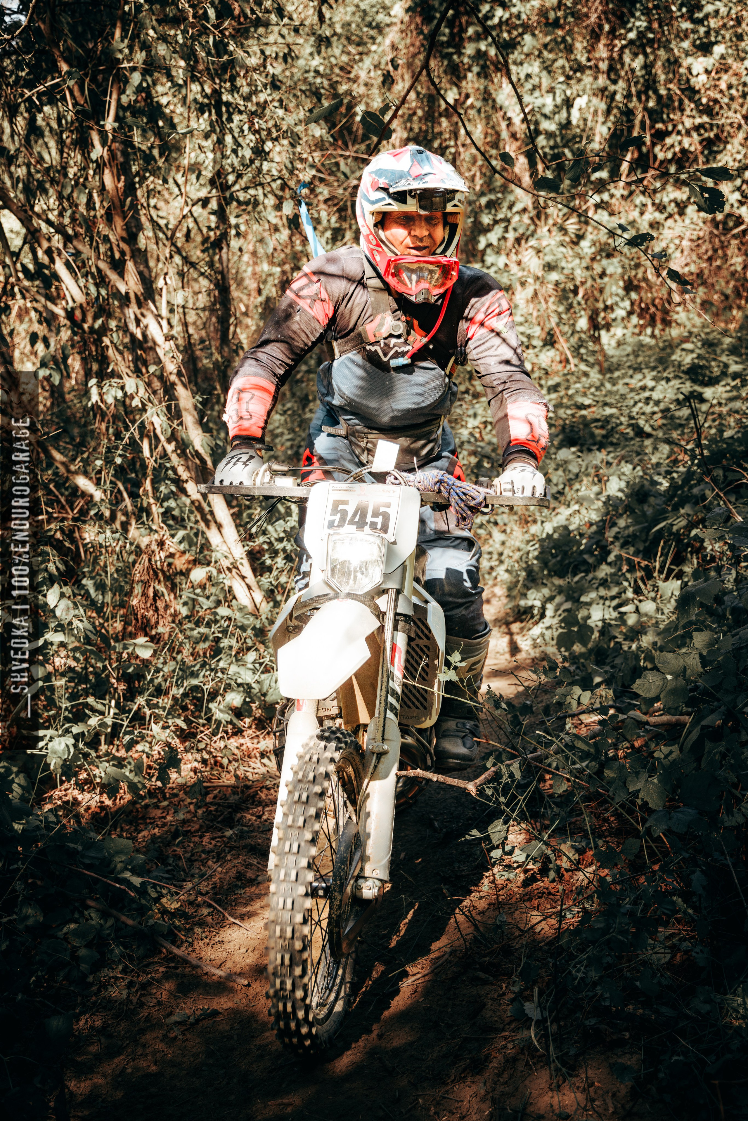 1 лесной день. Ваш экстрим фотограф Кудрева Яна