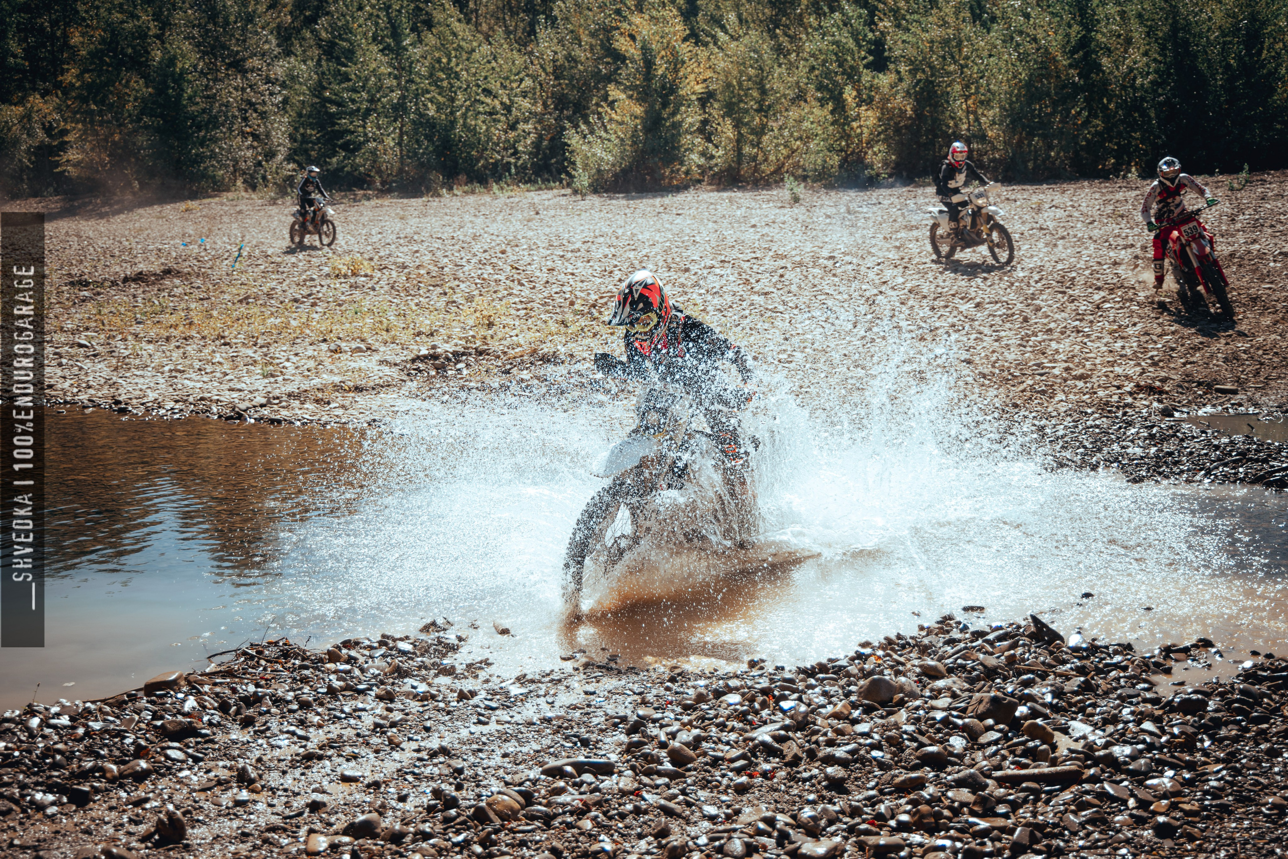 1 лесной день. Ваш экстрим фотограф Кудрева Яна