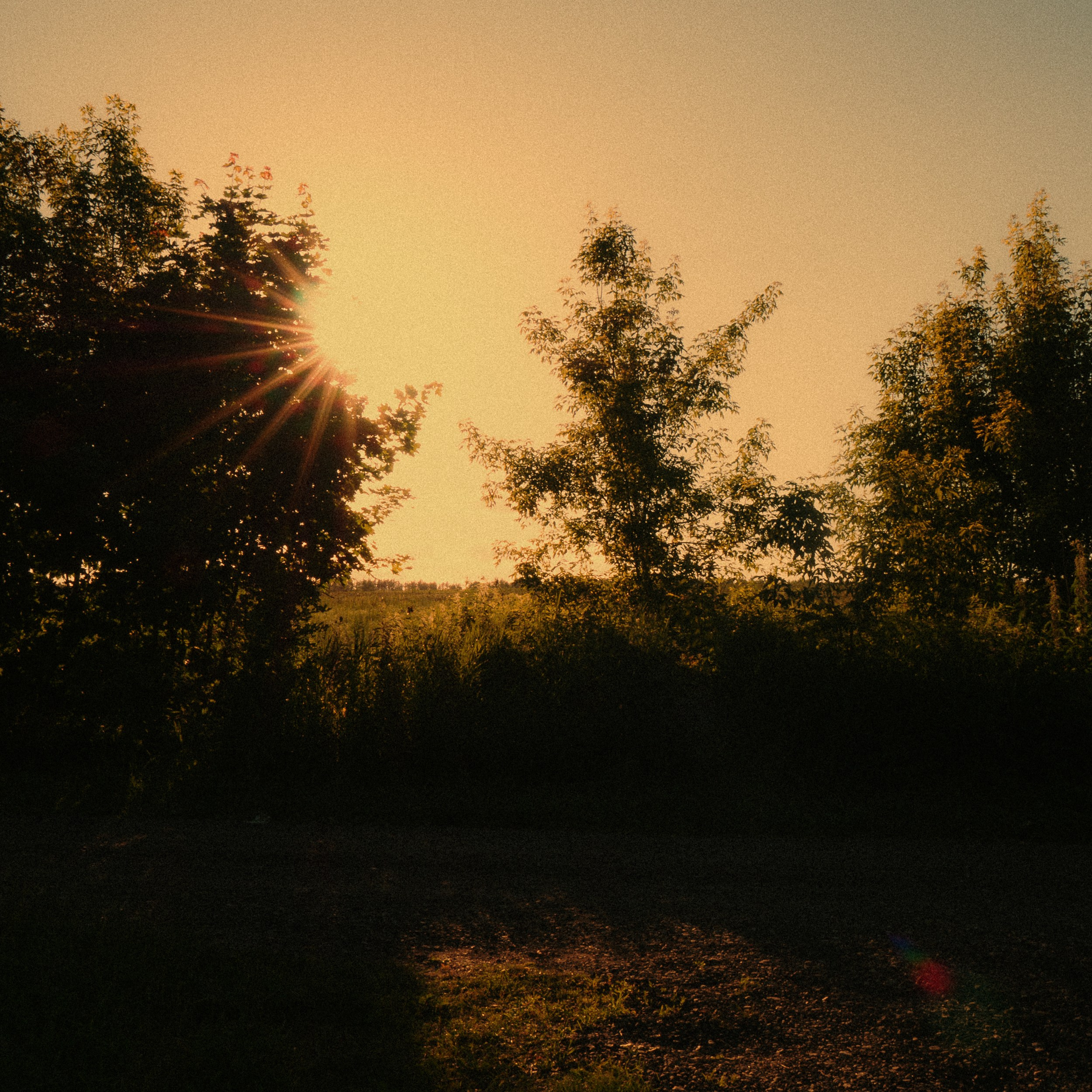 Дача '24. Фёдор Малюгин. Ваш бади в визуале