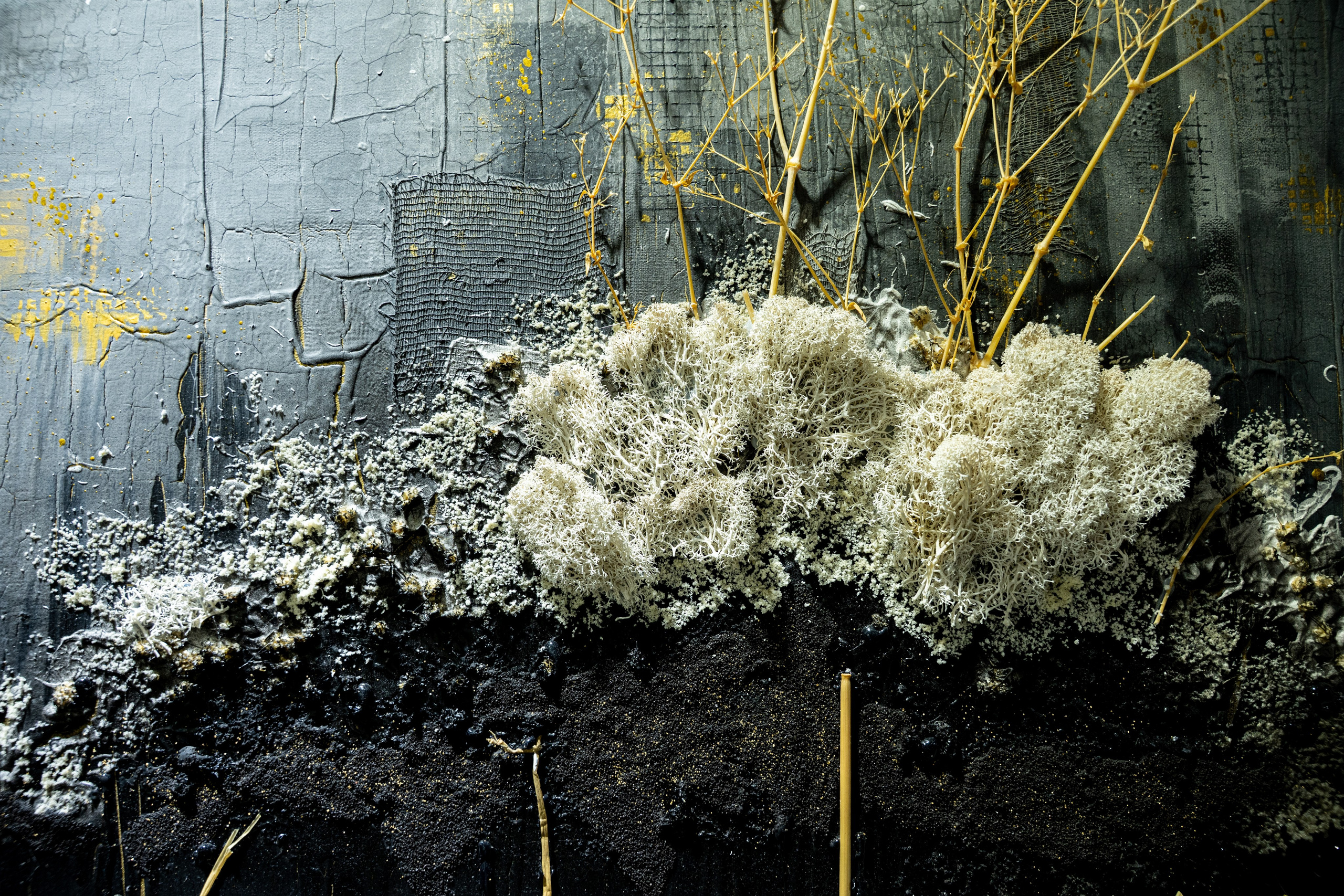 ЛЕС Авторский проект Юлии Якубович 04.11.2025. Портретный и репортажный фотограф в Москве Разуменко Роман