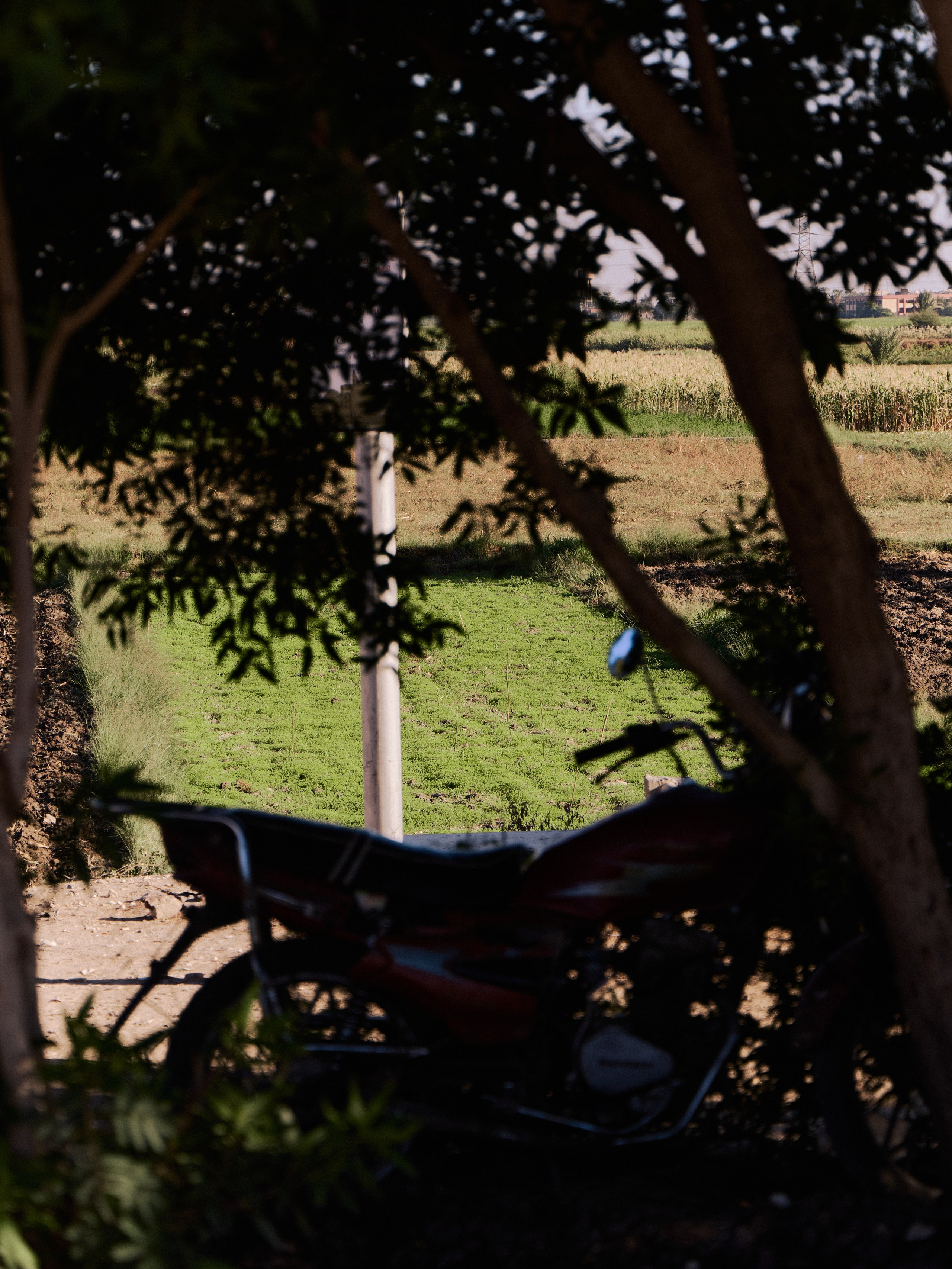 Другое 4. Jorgis — фотограф в Хургаде / обучение фотографии