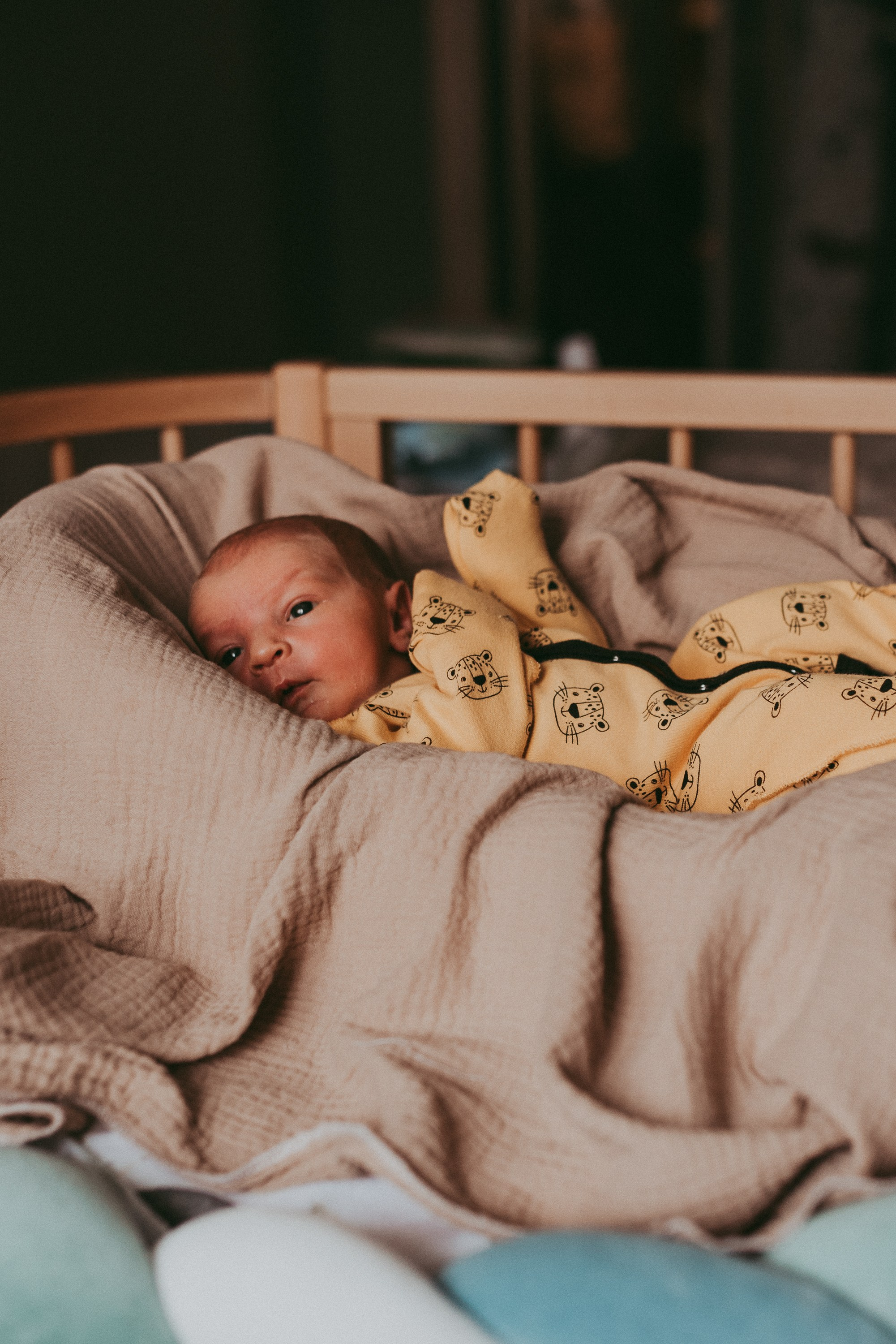 Маленький космос. Семейный и детский фотограф в Новосибирске и Краснообске — Анна Ким