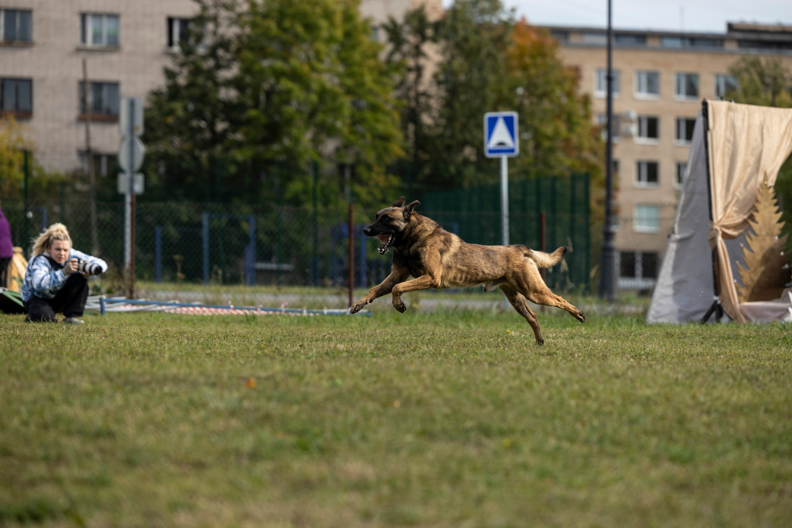 Испытания по Мондьорингу г. Пушкин. Фотограф-анималист Анна Маринич