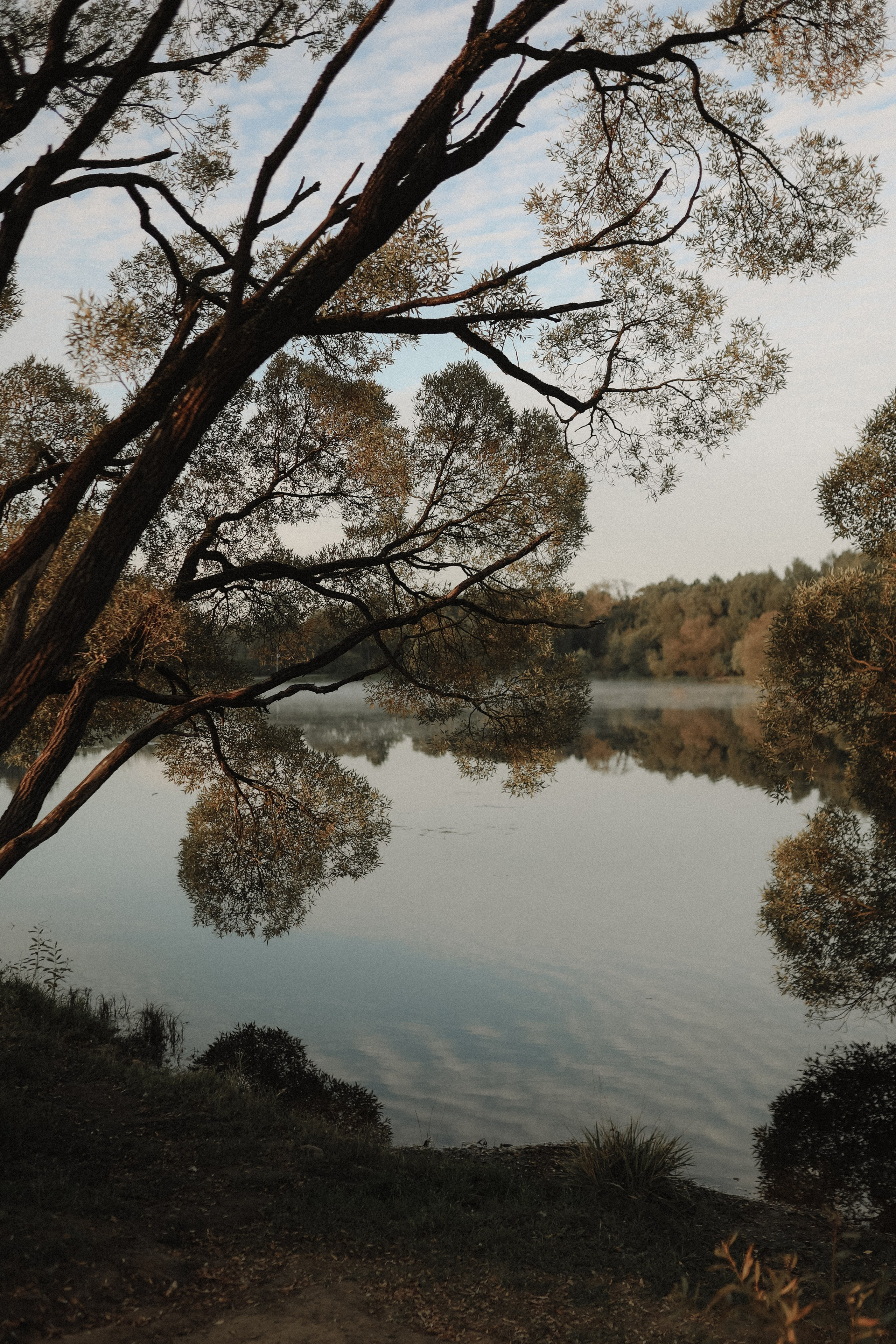 Полина. Детский и семейный фотограф, съемка новорожденных Москва