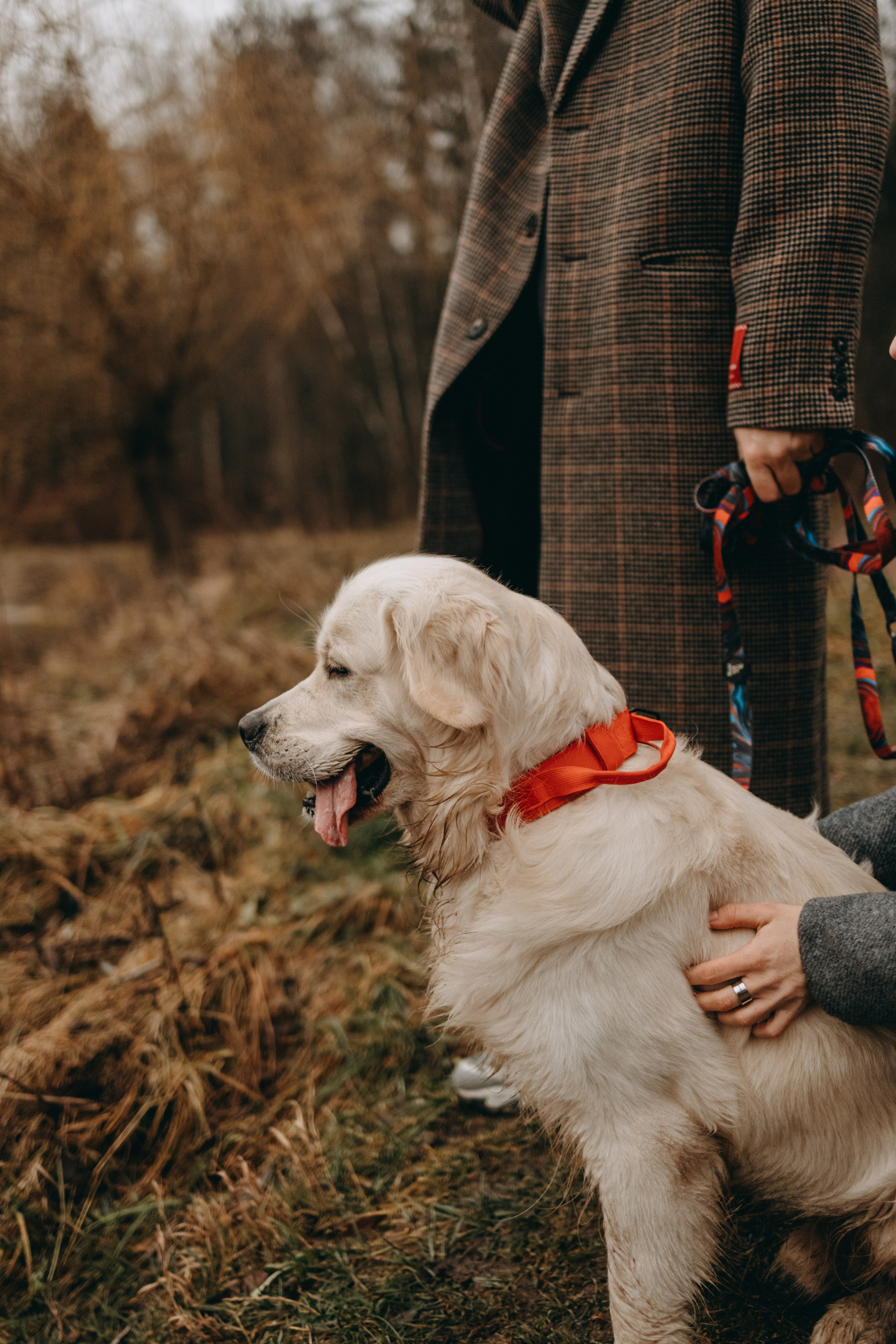 Лаки и его семья. Фотограф — Анималист | Санкт-Петербург