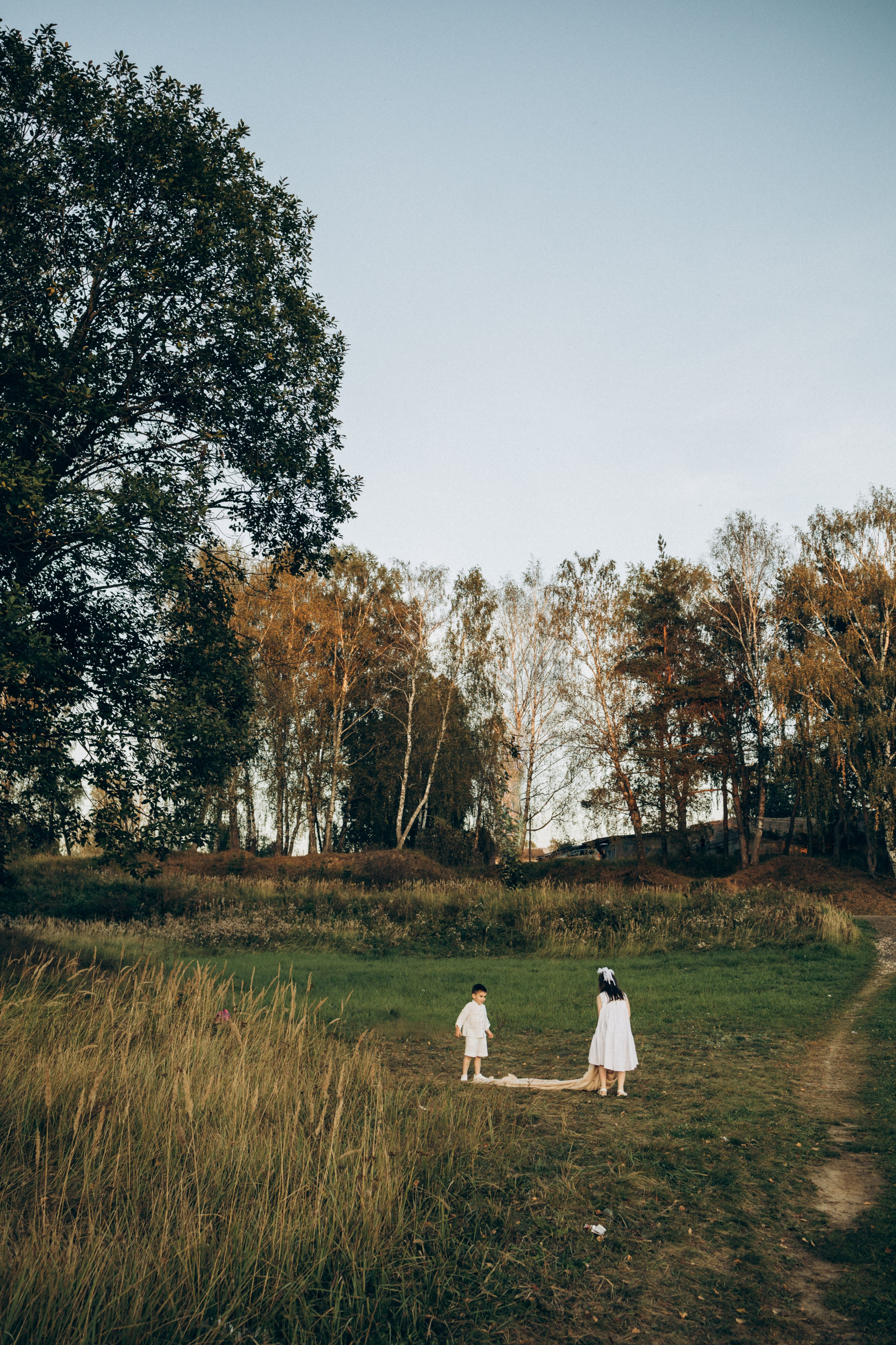 Семейная в поле. Фотограф Ярославль|Кострома|Нерехта Гундерина Светлана