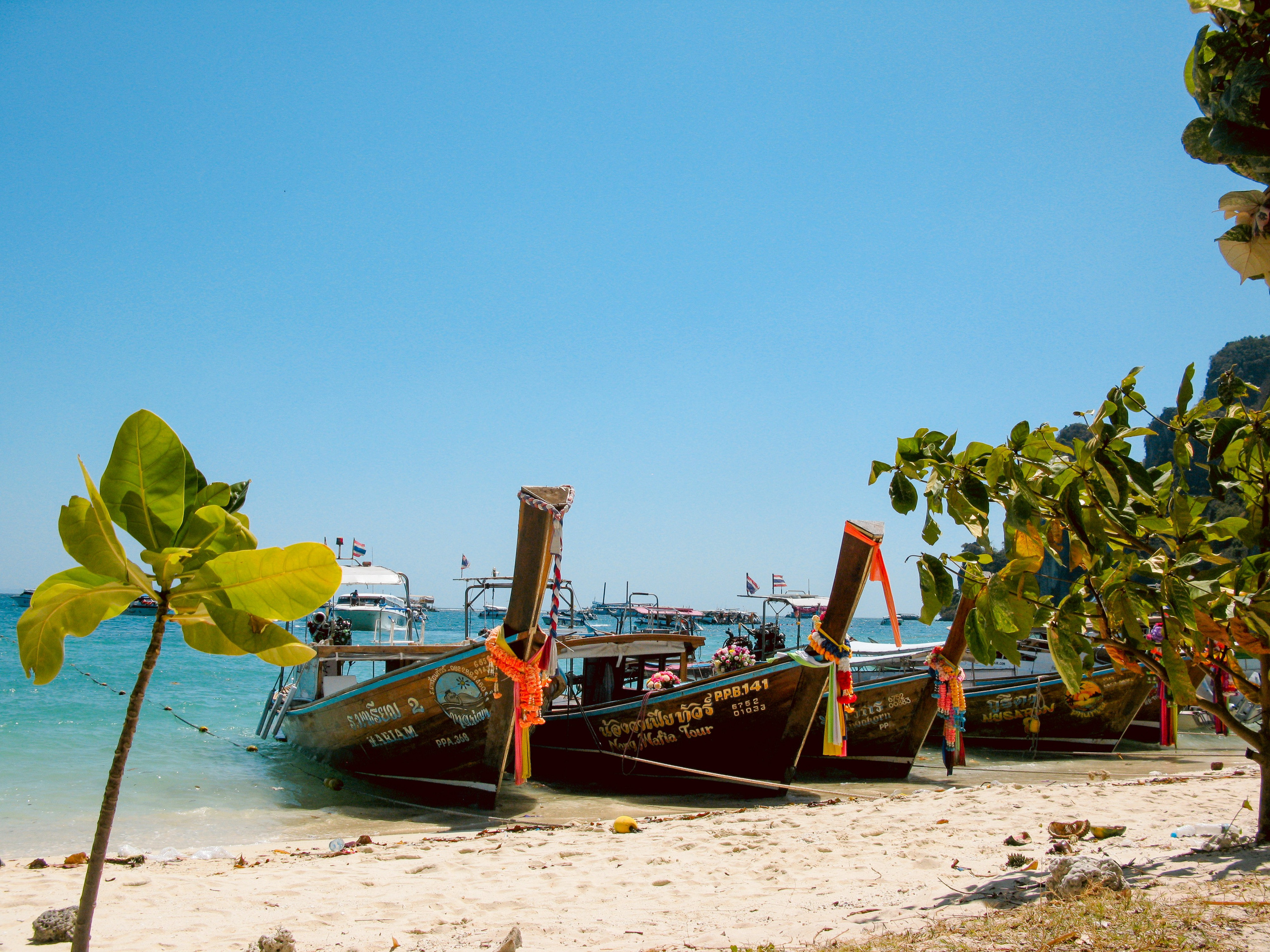 Thai. Фотограф Миланазавр