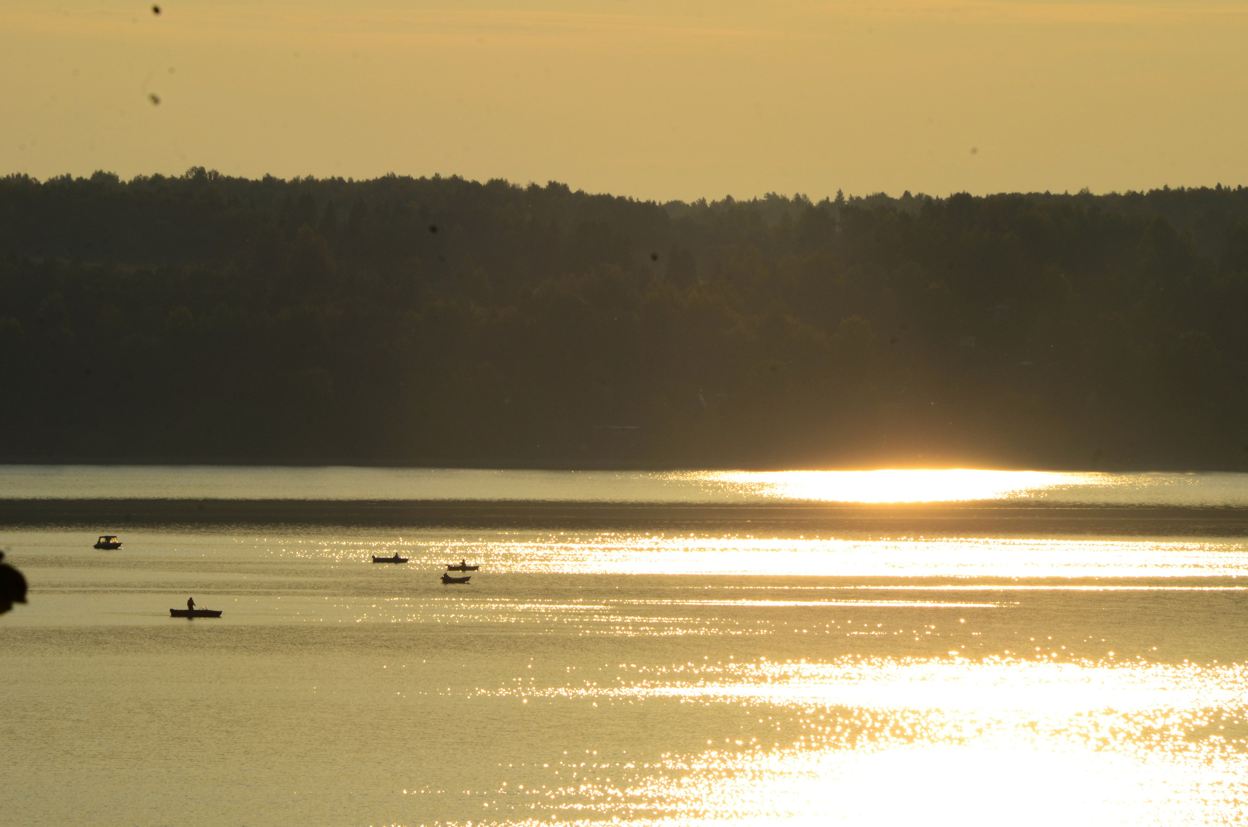 Проекты. Дракон и Ведьмочка — творческая коллаборация