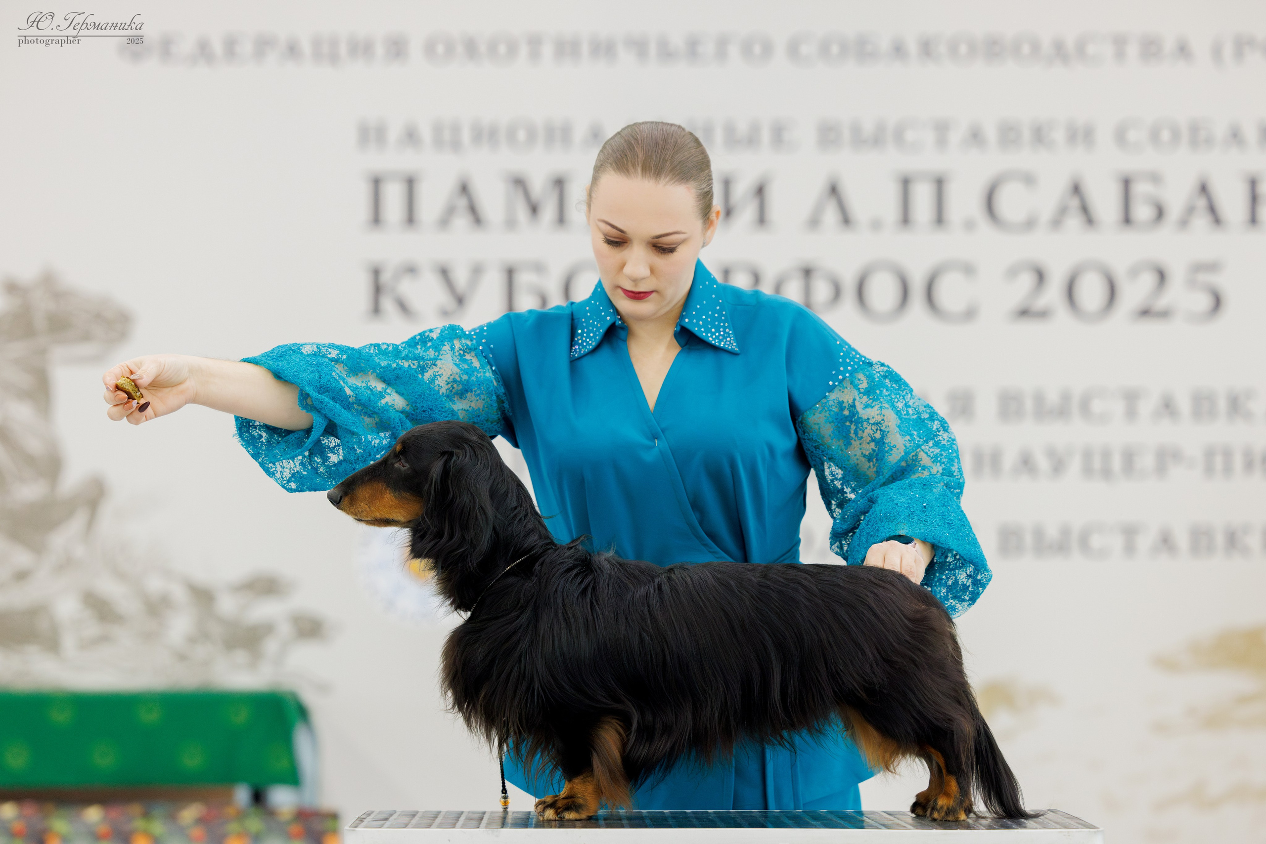 Сабанеевка Казань 25-26.01.2025. Фотограф-анималист Юлия Германика