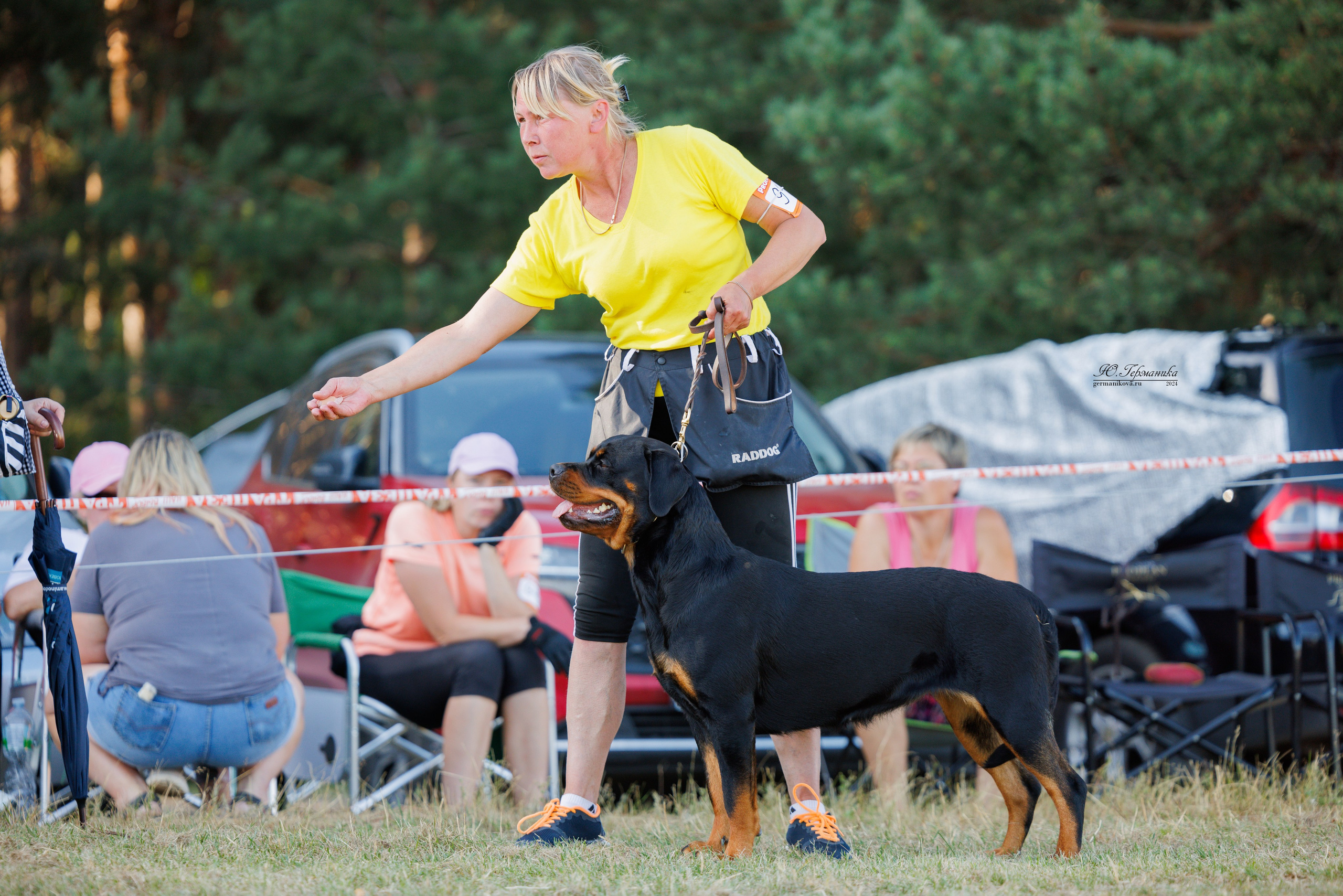 ПК и КЧК ротвейлеры Тверь 6-7.07.2024. Фотограф-анималист Юлия Германика