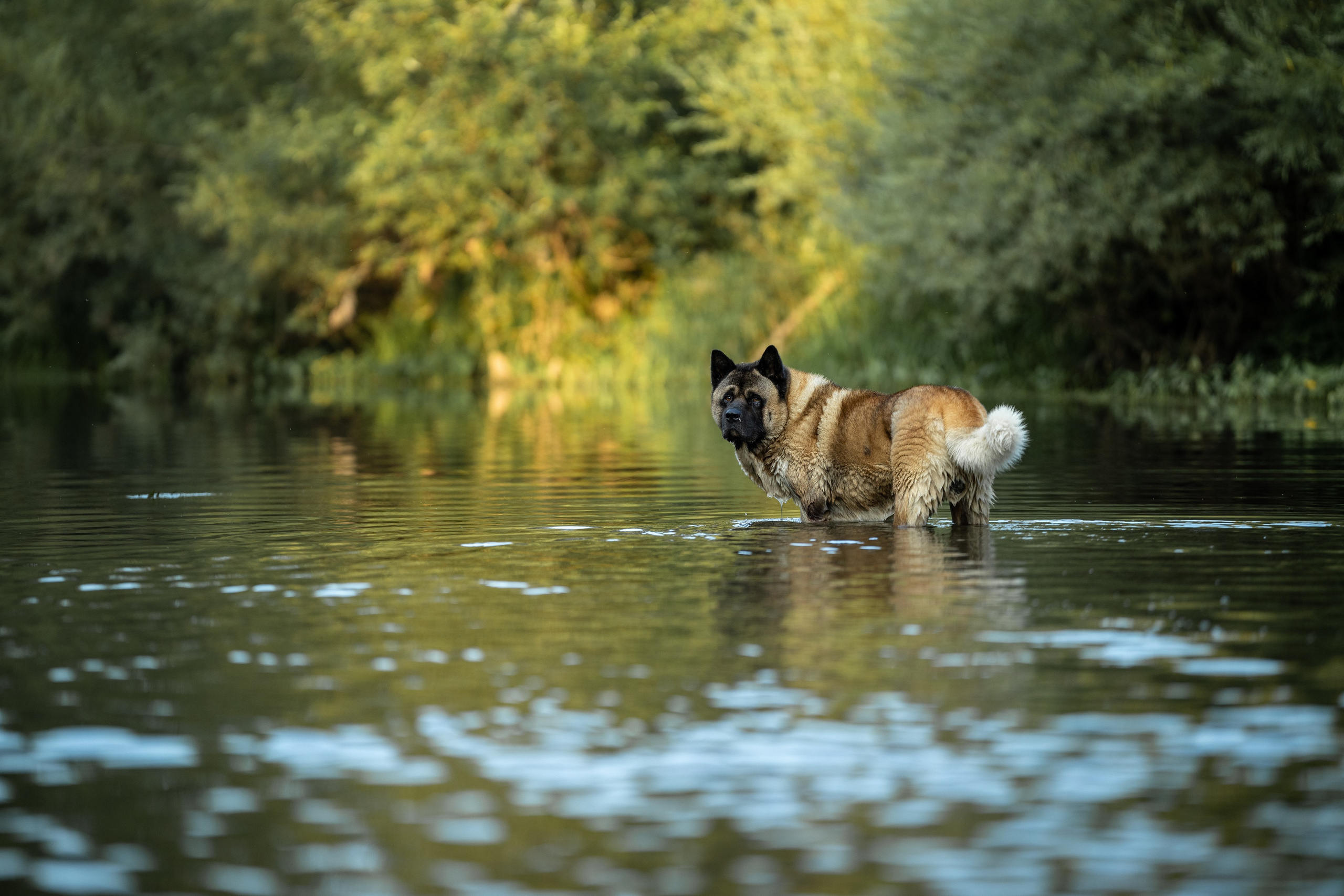 Природные пейзажи. Наталия Клевинскас портретный фотограф в Костроме