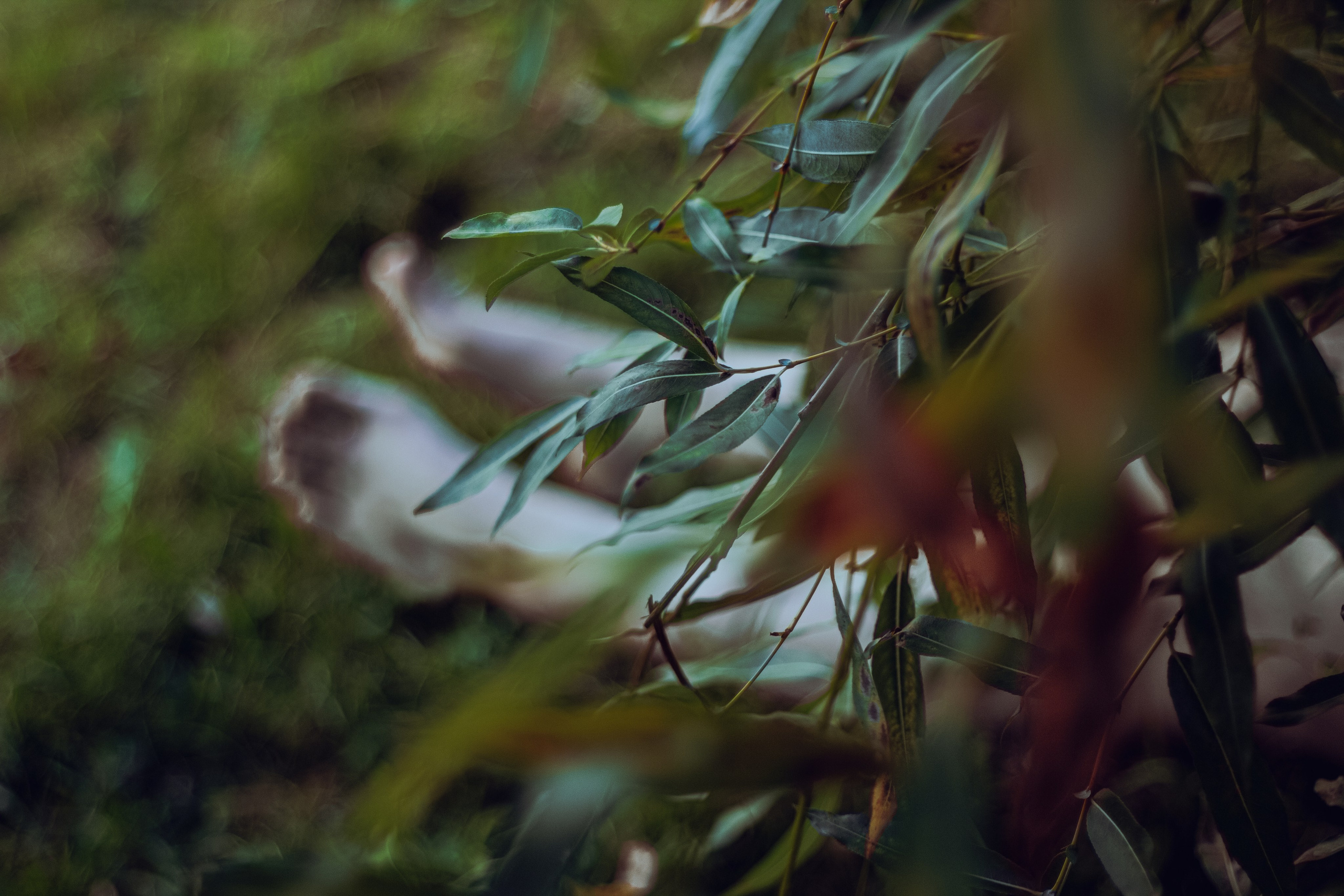 По мотивам убийства. В парке. Фотограф Москва, портрет, стрит, репортаж. Художественная фотосессия