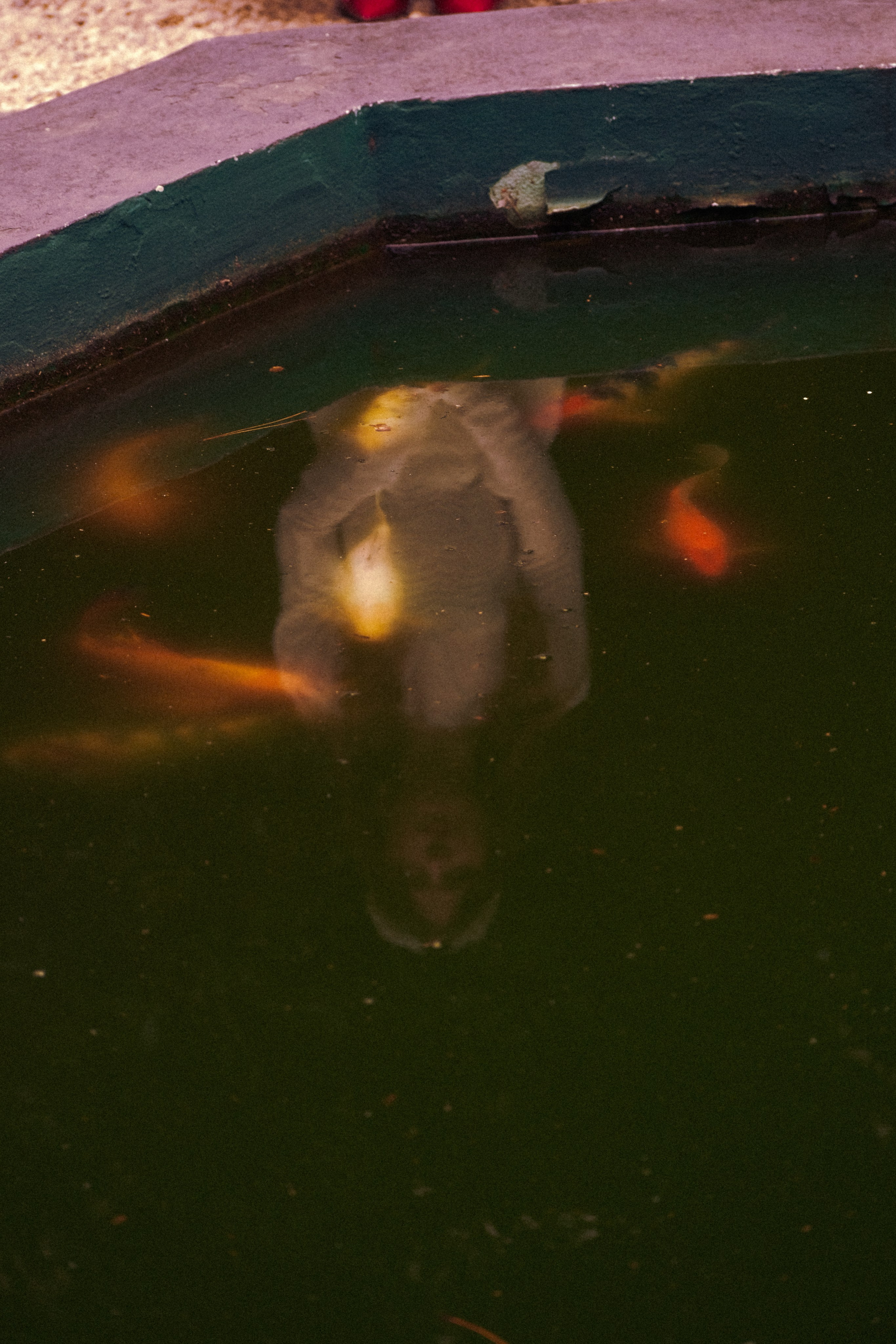 Tekla in Tbilisi. Photographer Tbilisi