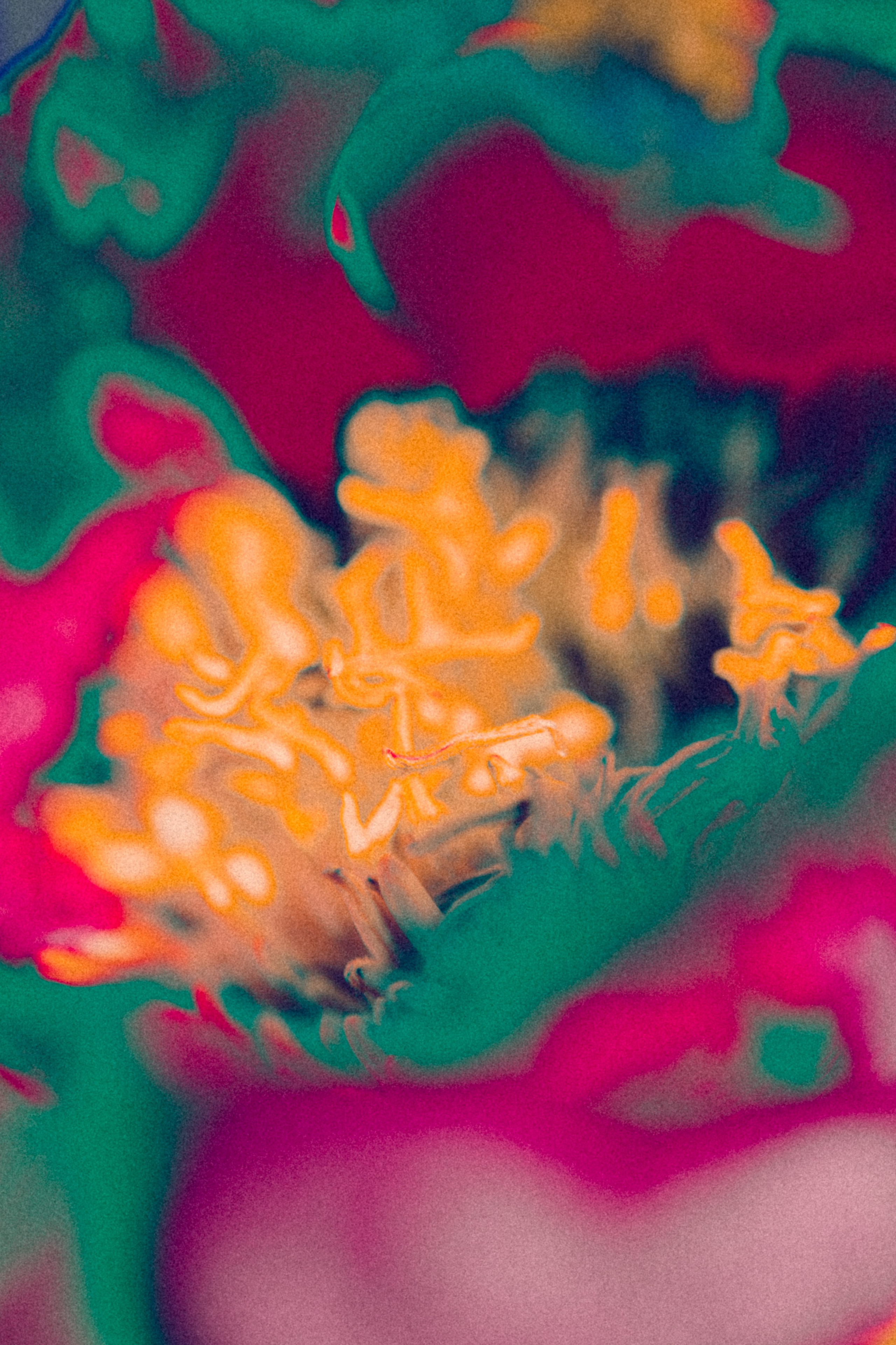 NON-EXISTENT FLOWERS. Фотограф Евгений Чащихин RGB АРХИТЕКТОР в Перми