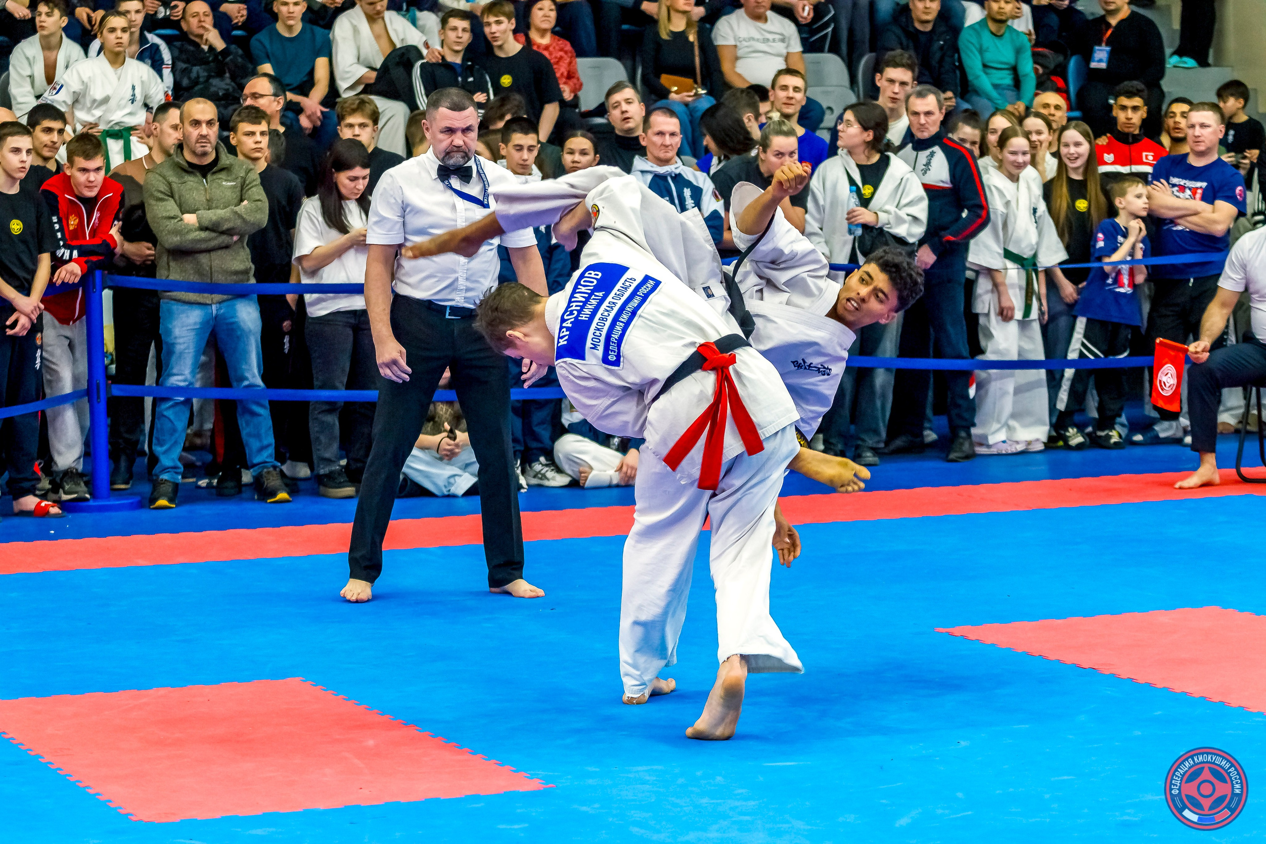 Международный турнир по киокушин «Открытый кубок Seiken». Репортажная съемка в Москве и области. Анималистика