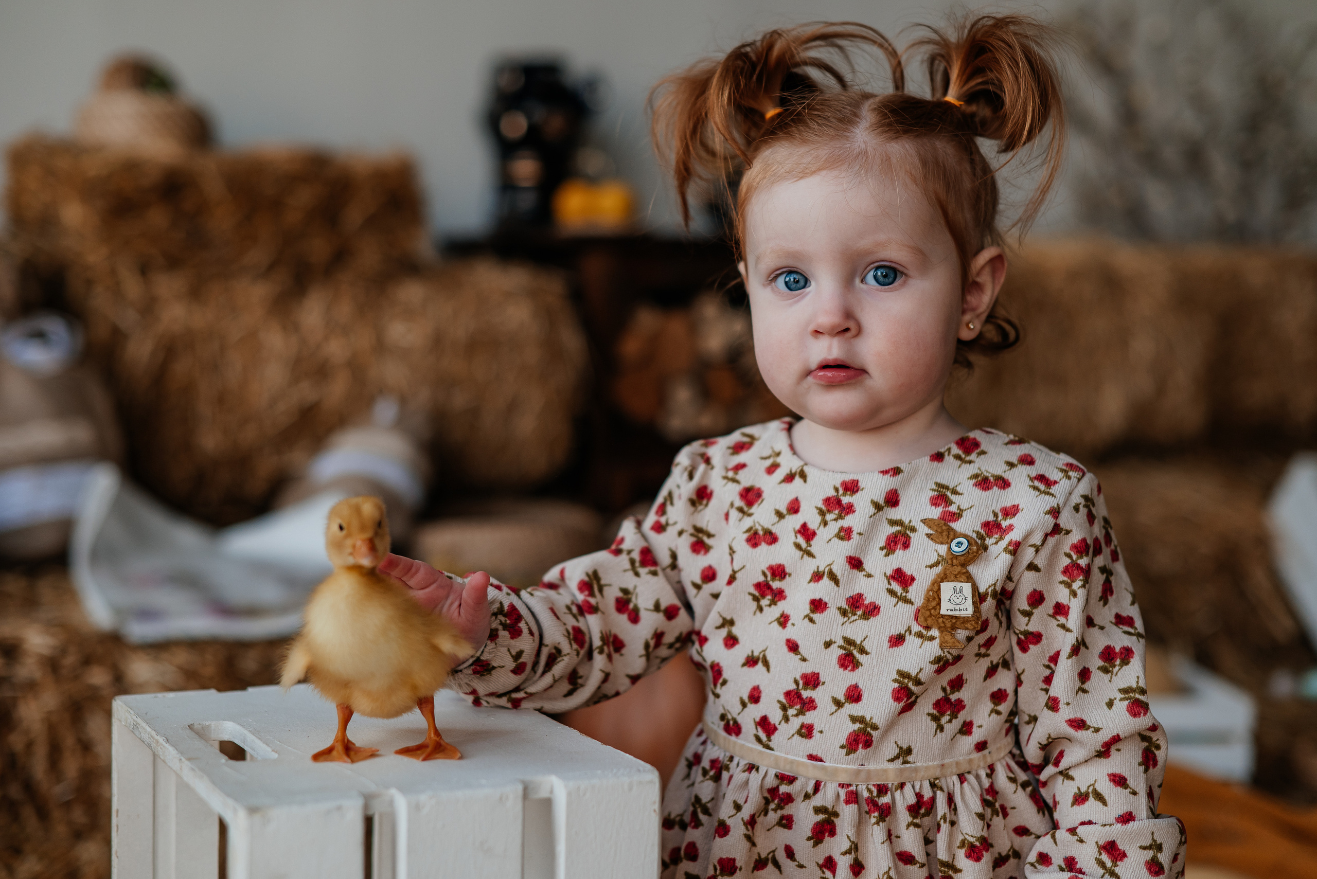 Отзывы. Свадебный и семейный фотограф в Донецке, Ростове, Севастополе!